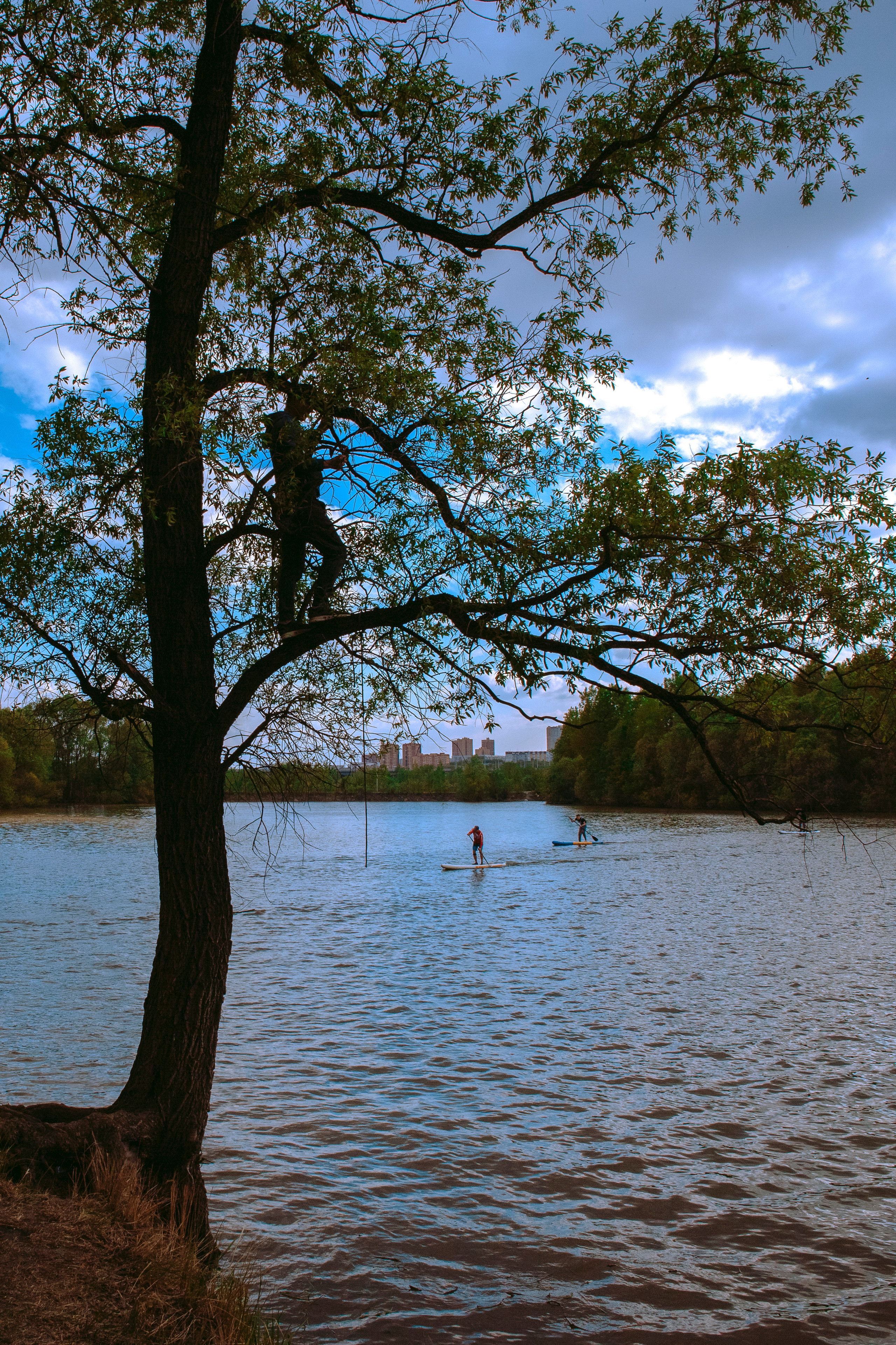 Мужчина стоит высоко на дереве и наблюдает за соревнованиями.