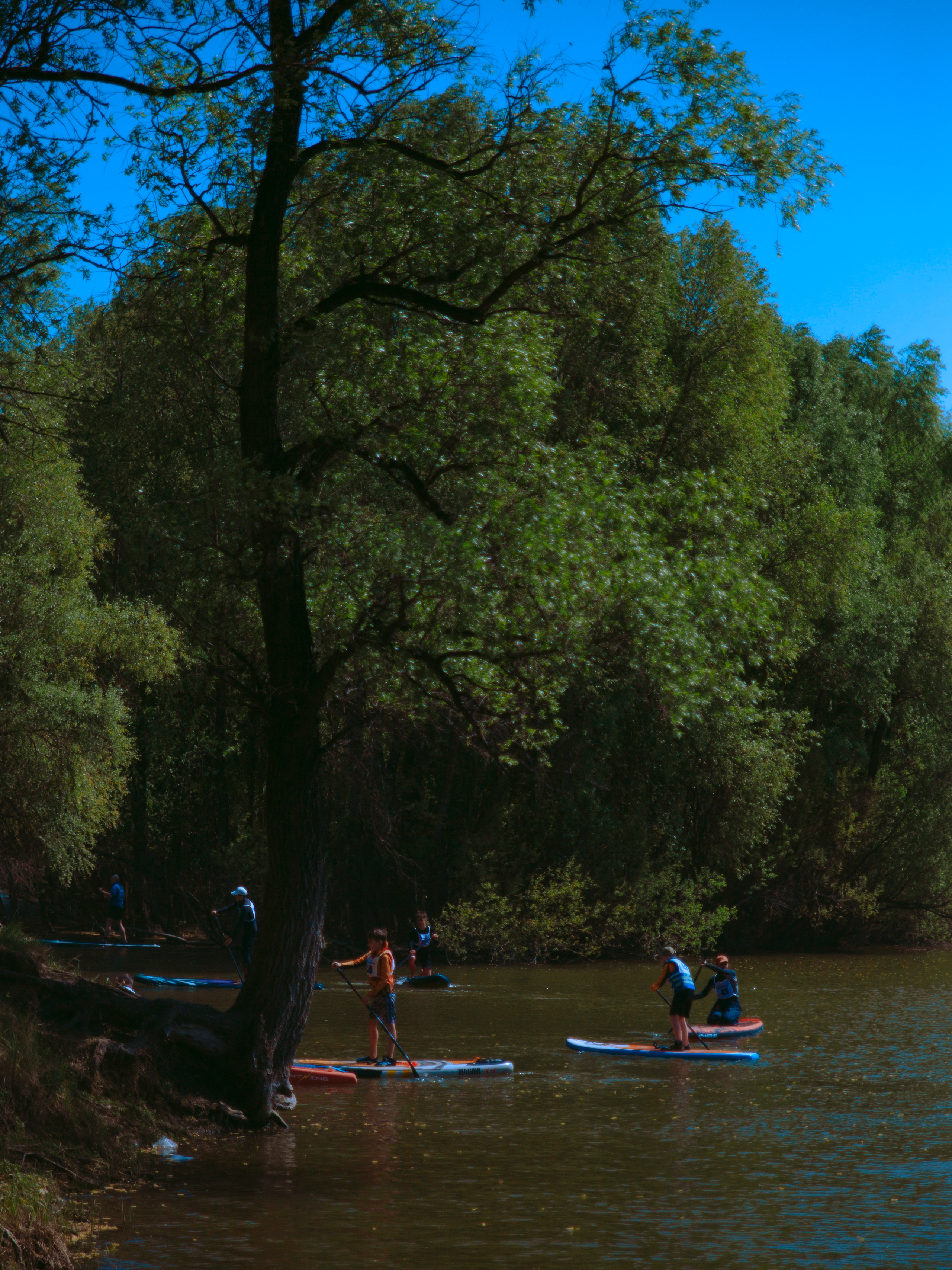 Фестиваль по сап-серфингу в Новосибирске.