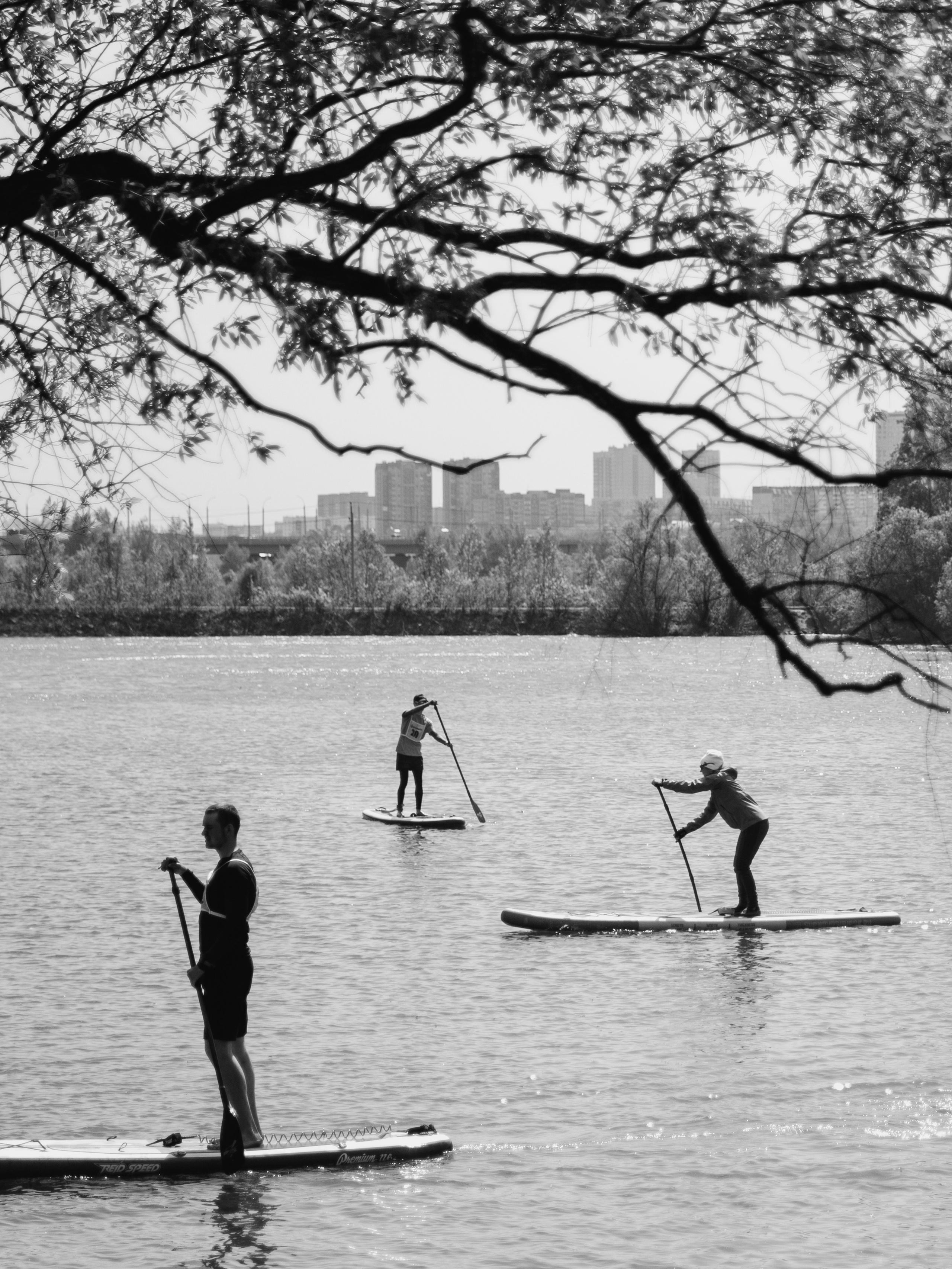 Художественное фото на воде.