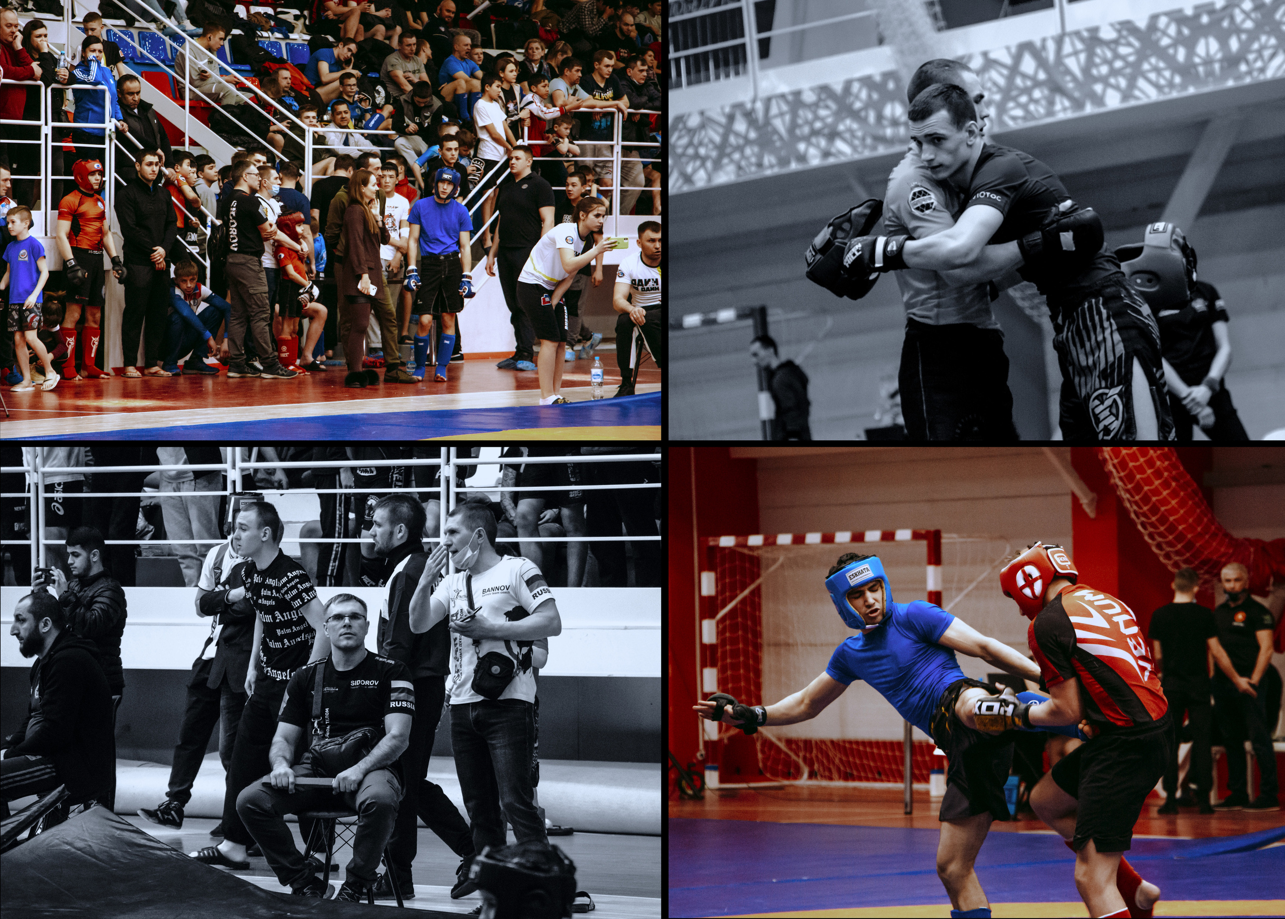 Чемпионат и первенство по панкратиону, фото спортсменов и зрителей во время боя.