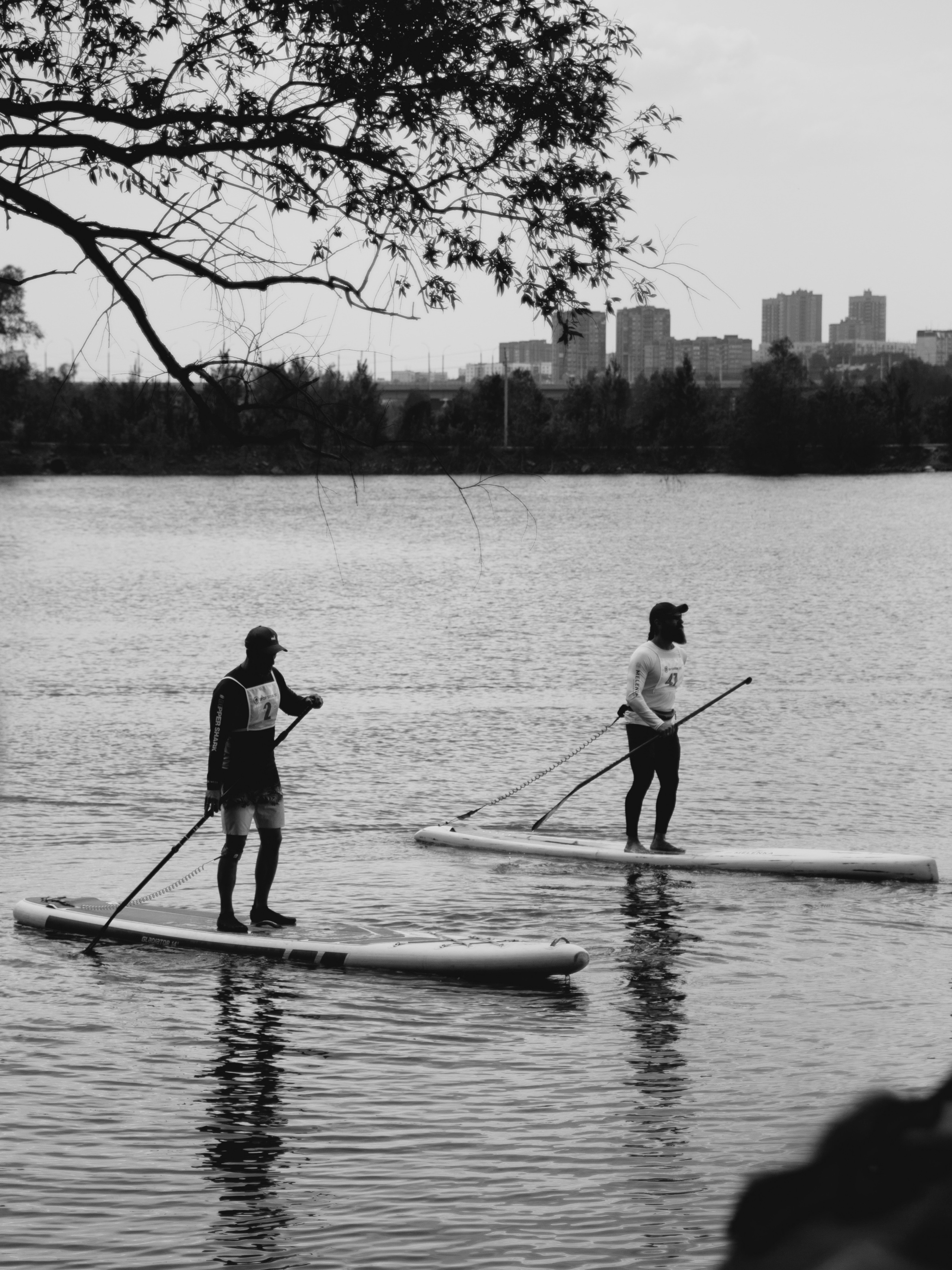 Чб фото сплава на сапах на фоне деревьев.