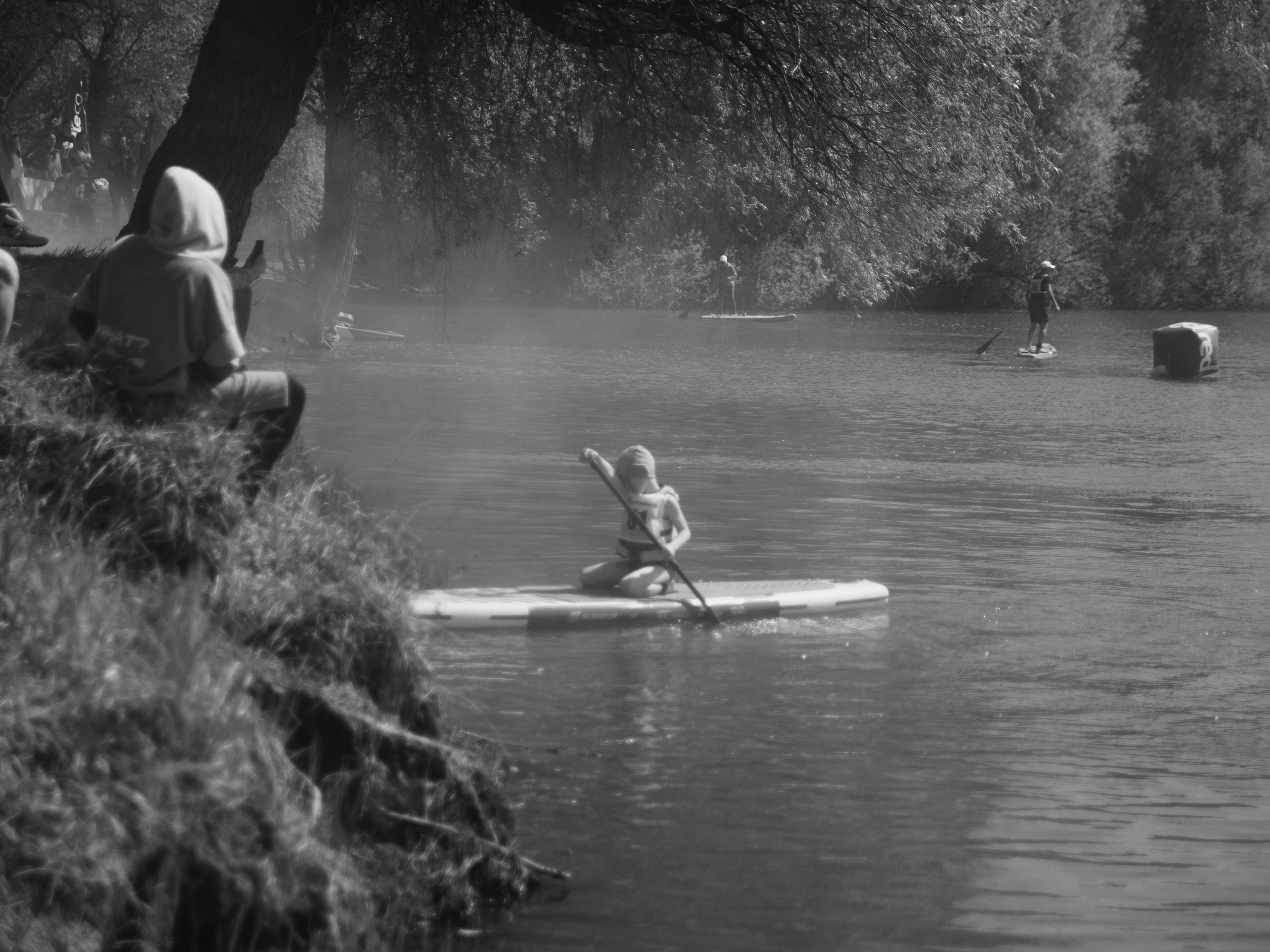 Ветер поднимает пыль в воздухе.