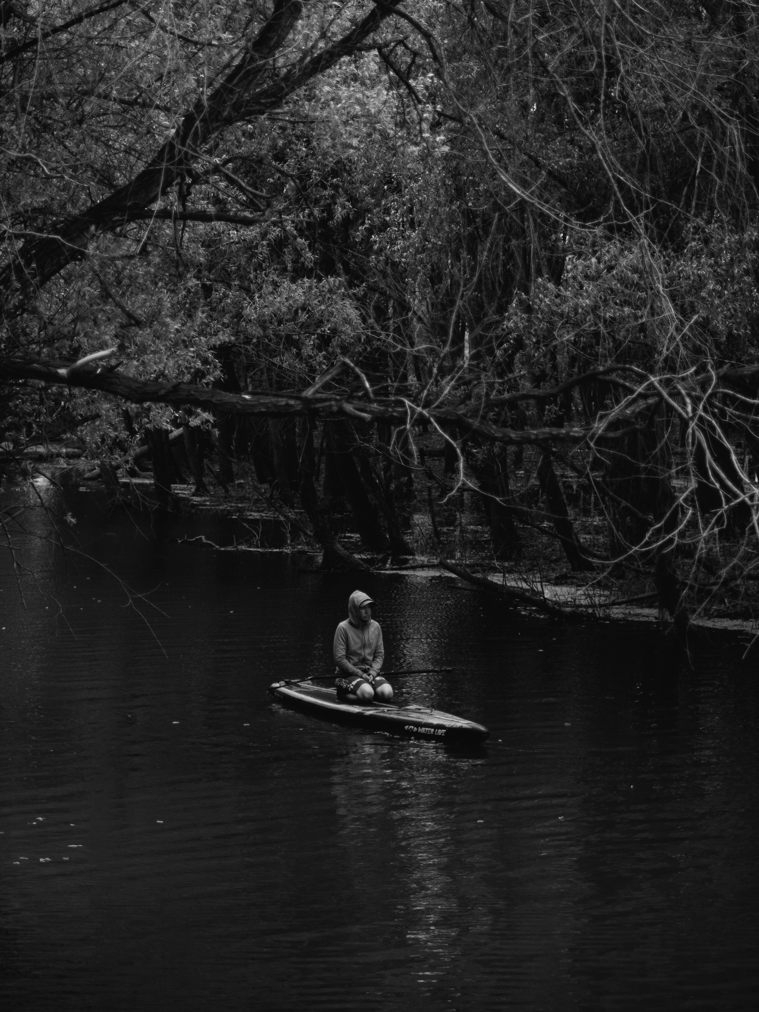 Соревнования и фестиваль по sup-серфингу в Новосибирске.