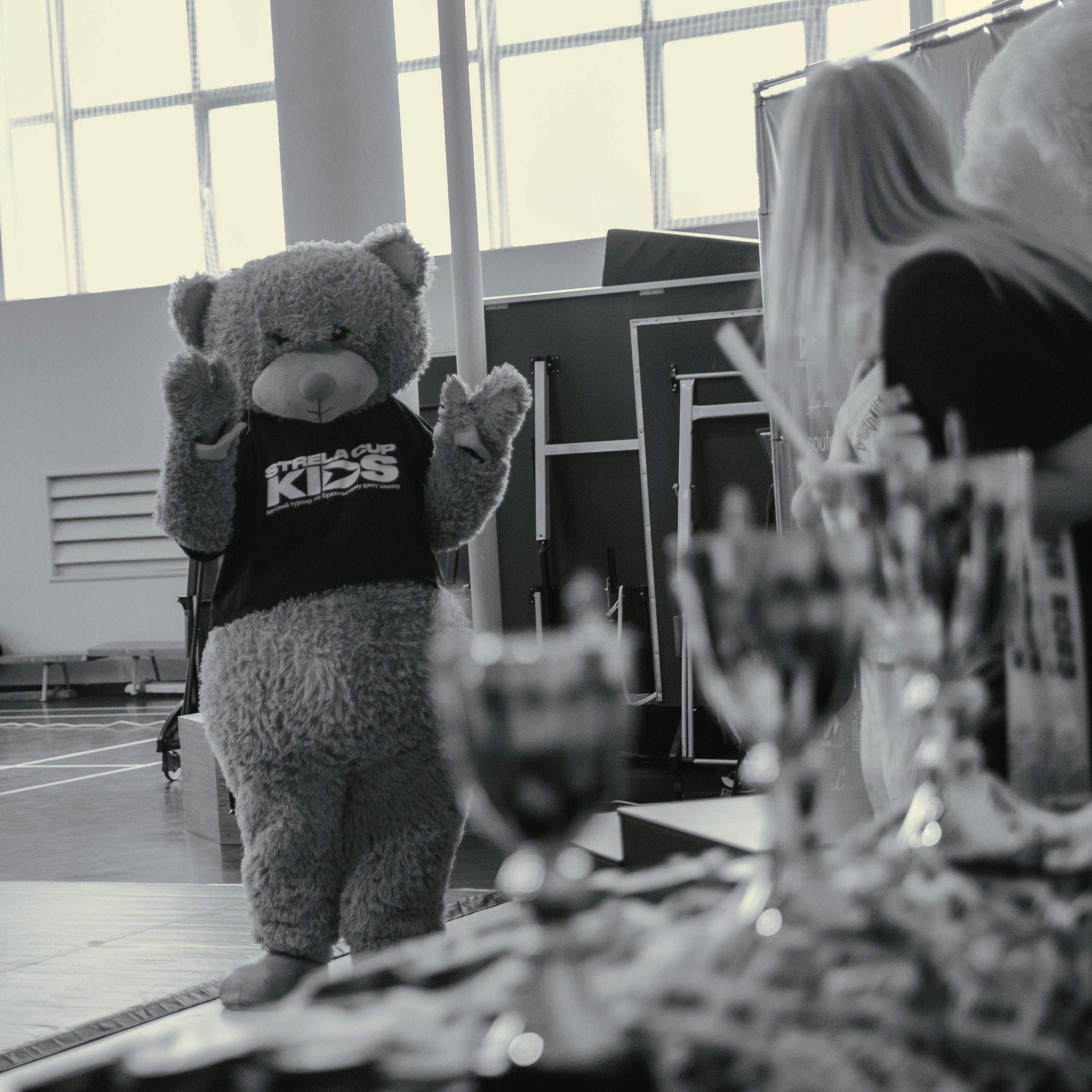 Маскот на детском турнире по джиу-джитсу.