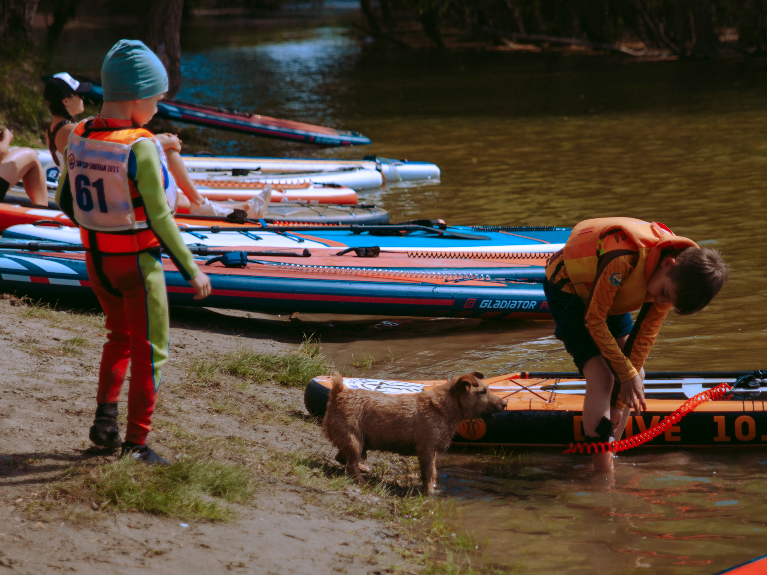Соревнования и фестиваль по sup-серфингу в Новосибирске.