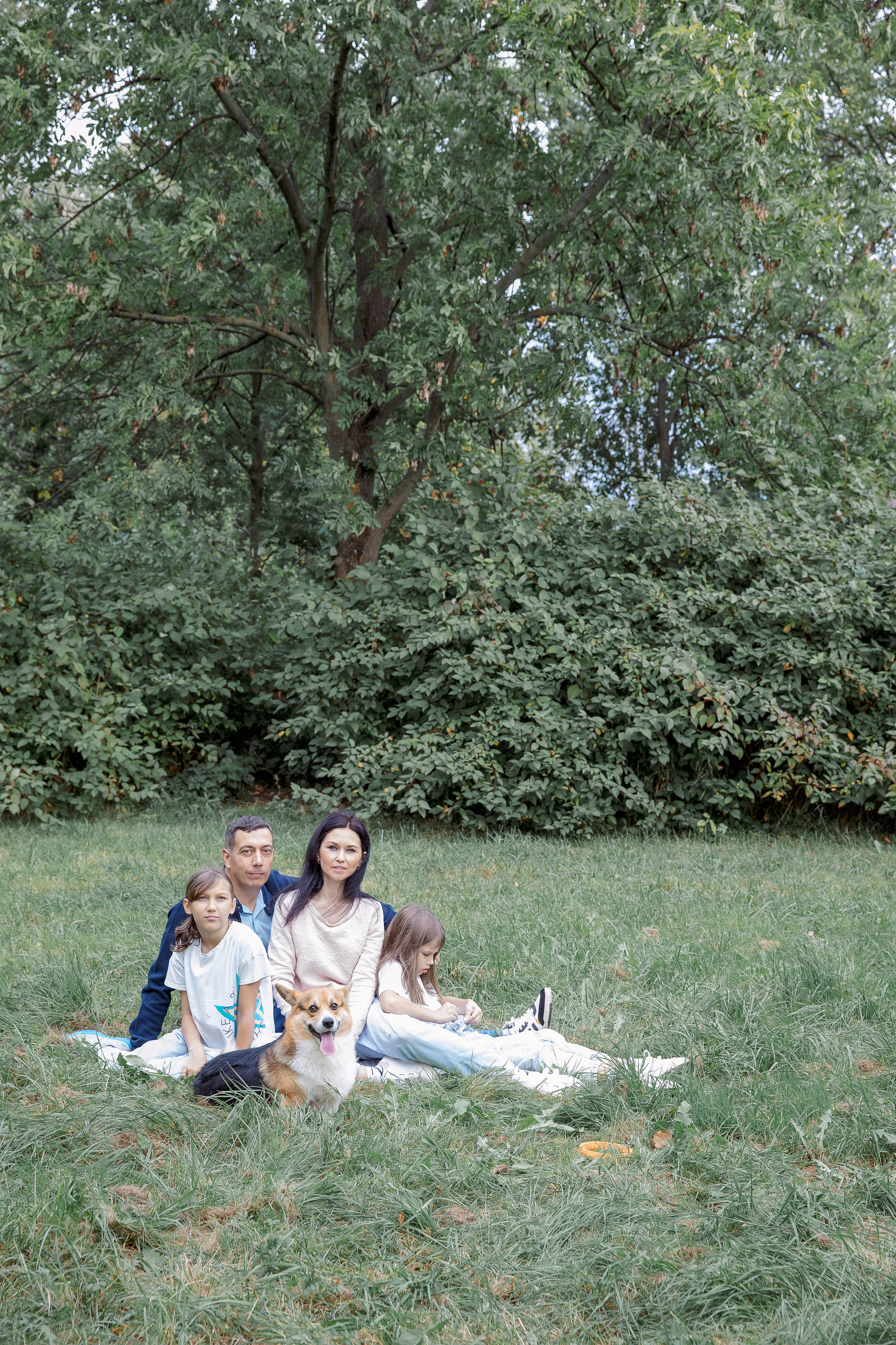 Вольт и его любимчики. Фотограф в Санкт-Петербурге Алена Сертакова