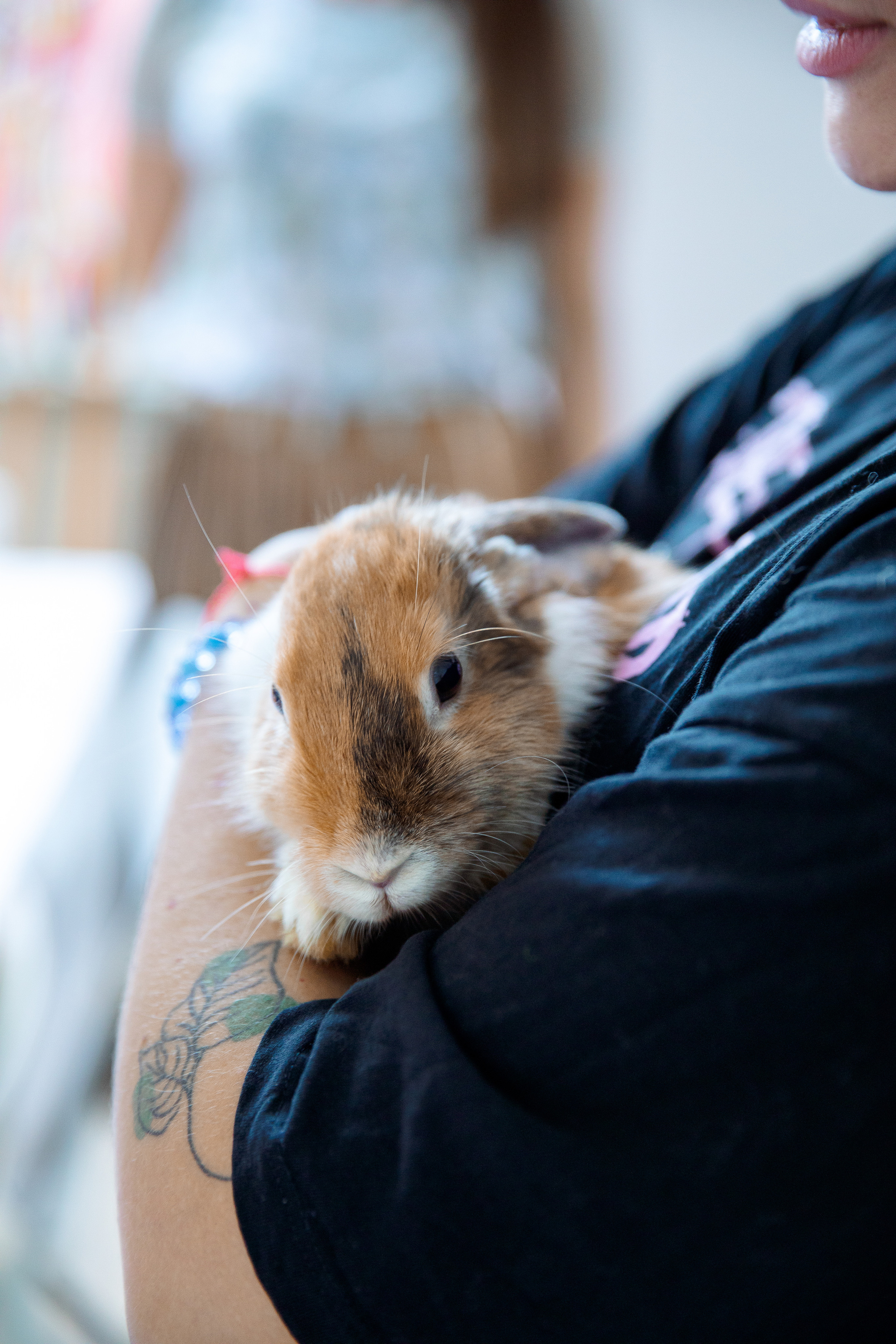 Мастер-класс по акварели. Фотограф в Санкт-Петербурге Алена Сертакова