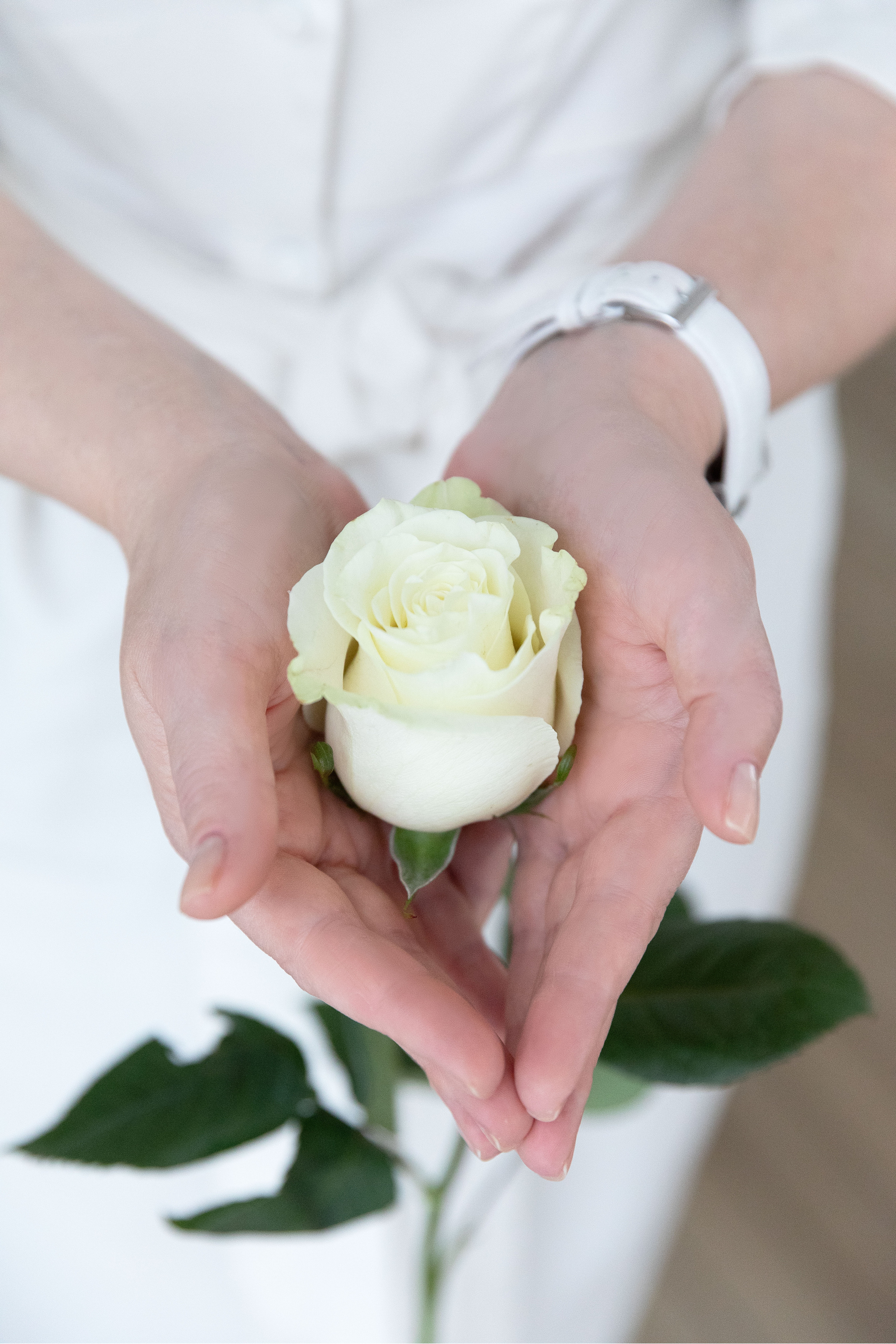 Анастасия. Фотограф в Санкт-Петербурге Алена Сертакова