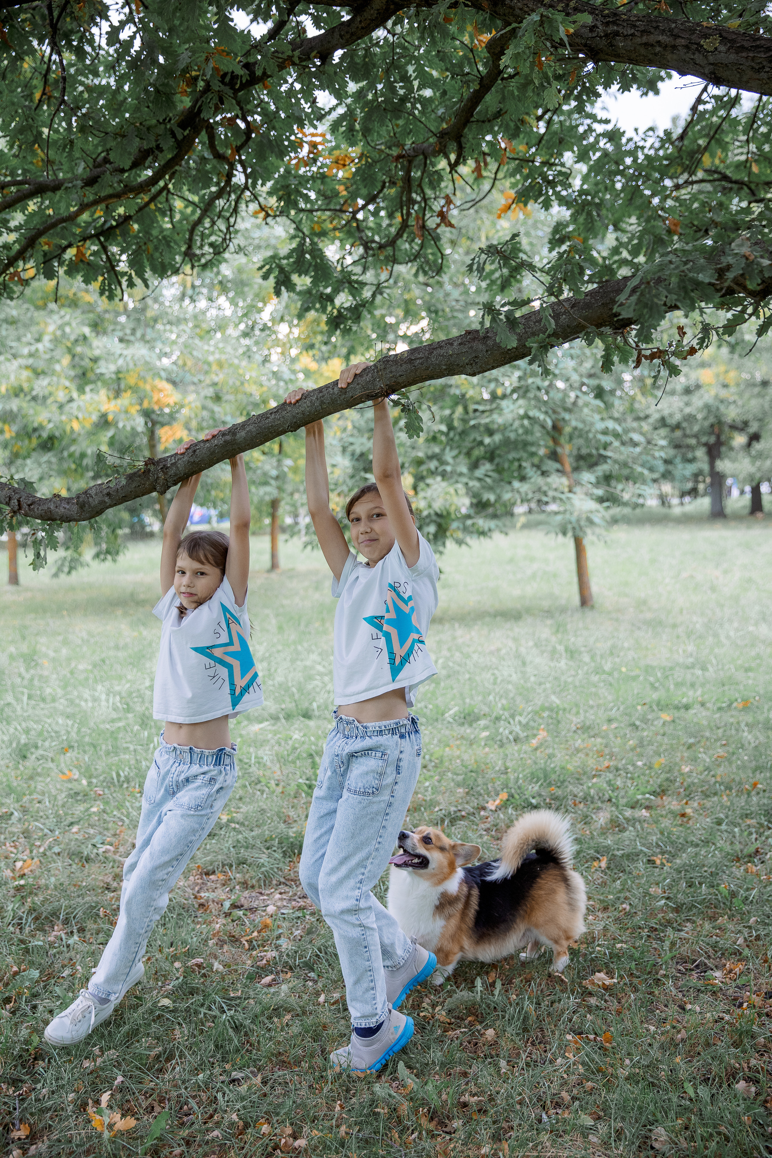 Вольт и его любимчики. Фотограф в Санкт-Петербурге Алена Сертакова