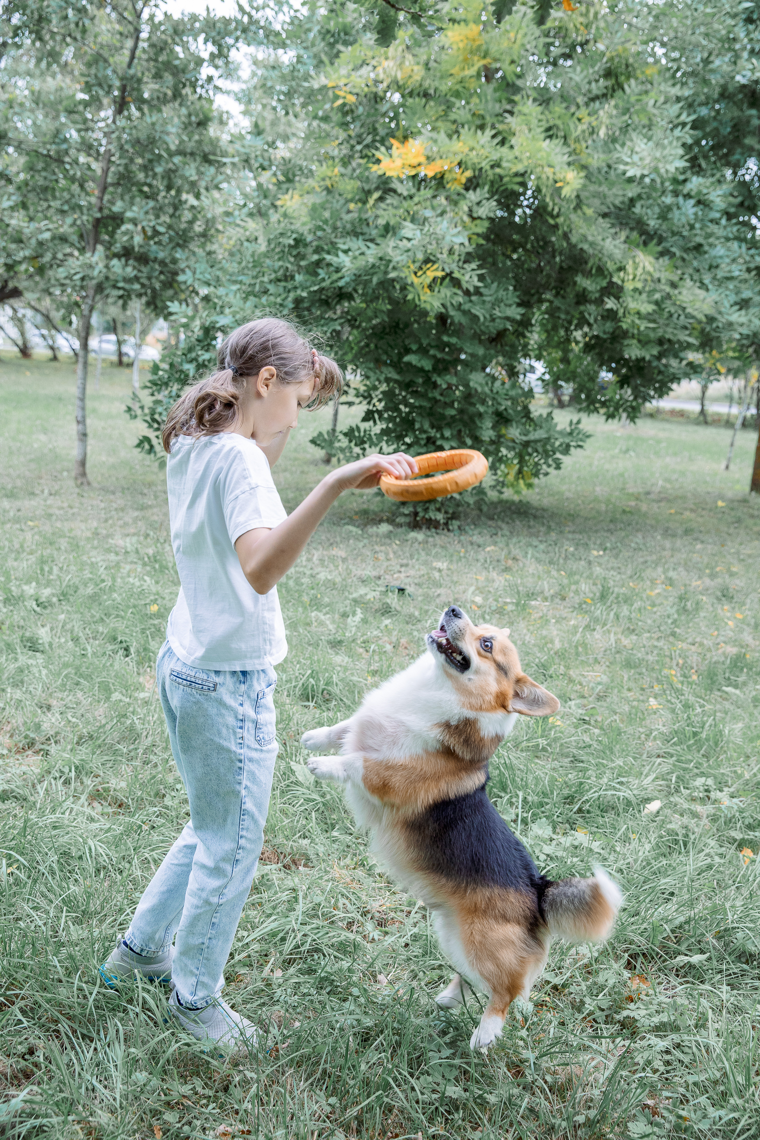 Вольт и его любимчики. Фотограф в Санкт-Петербурге Алена Сертакова