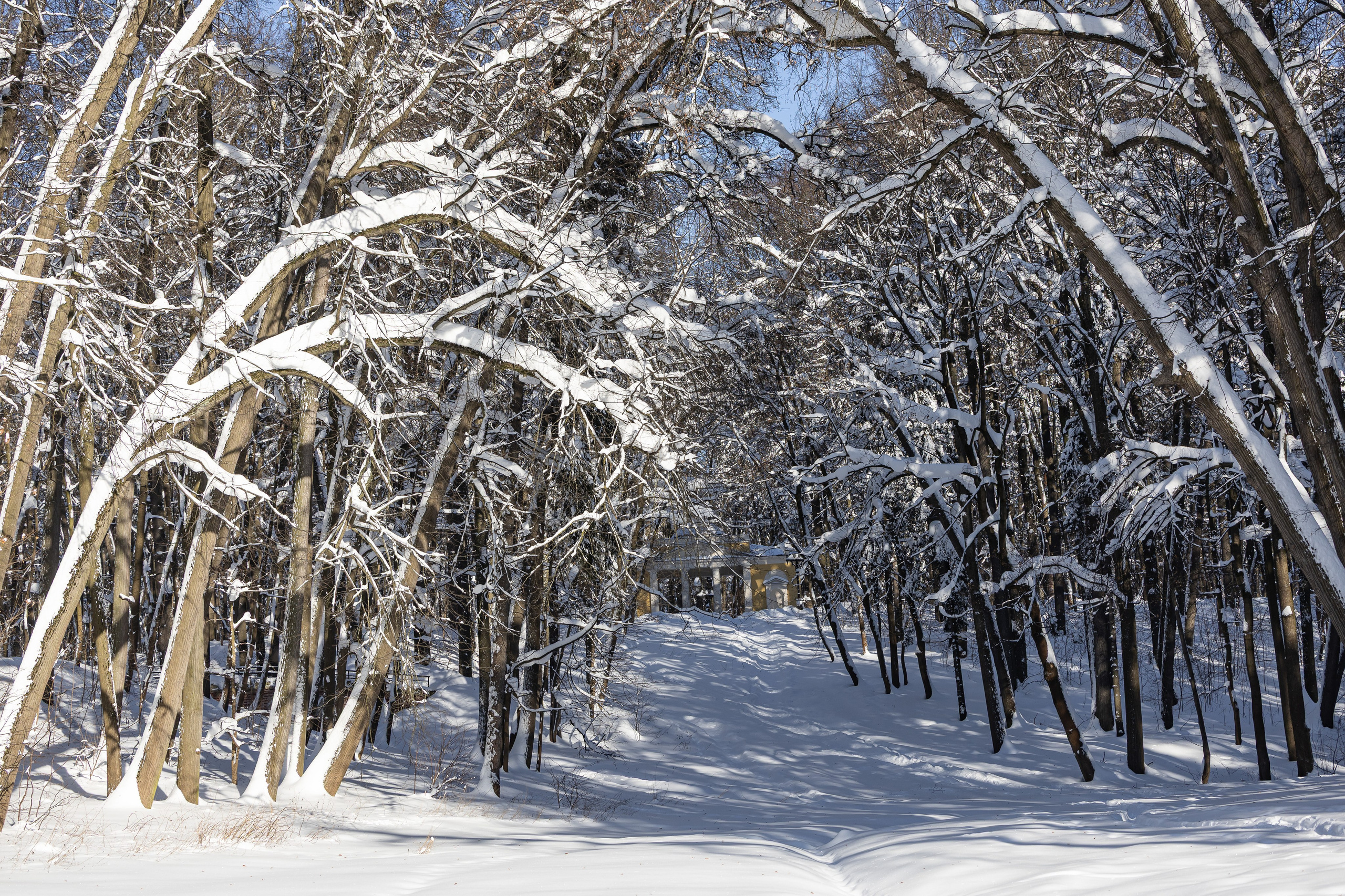 Природа. Фотограф Владимир Охрименко