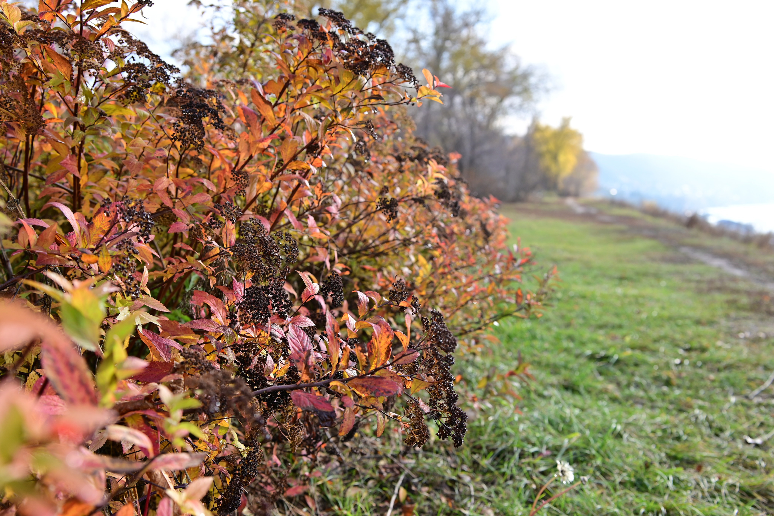 Октябрь над Волгой. Фотосъёмка праздничных мероприятий, портретная съёмка в Самаре, Пётр Бубняев