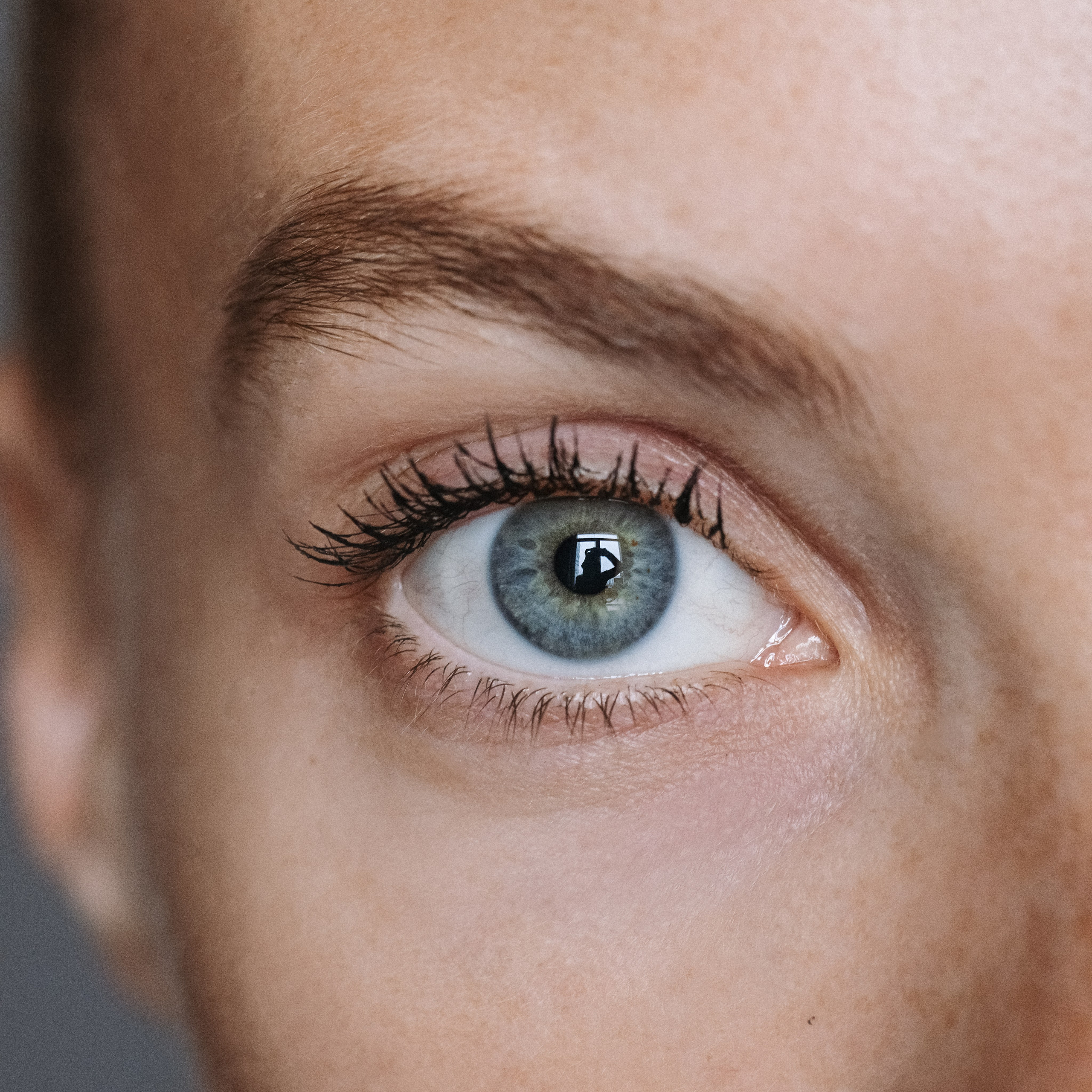 Animal Friendly. Фотограф на Юге России