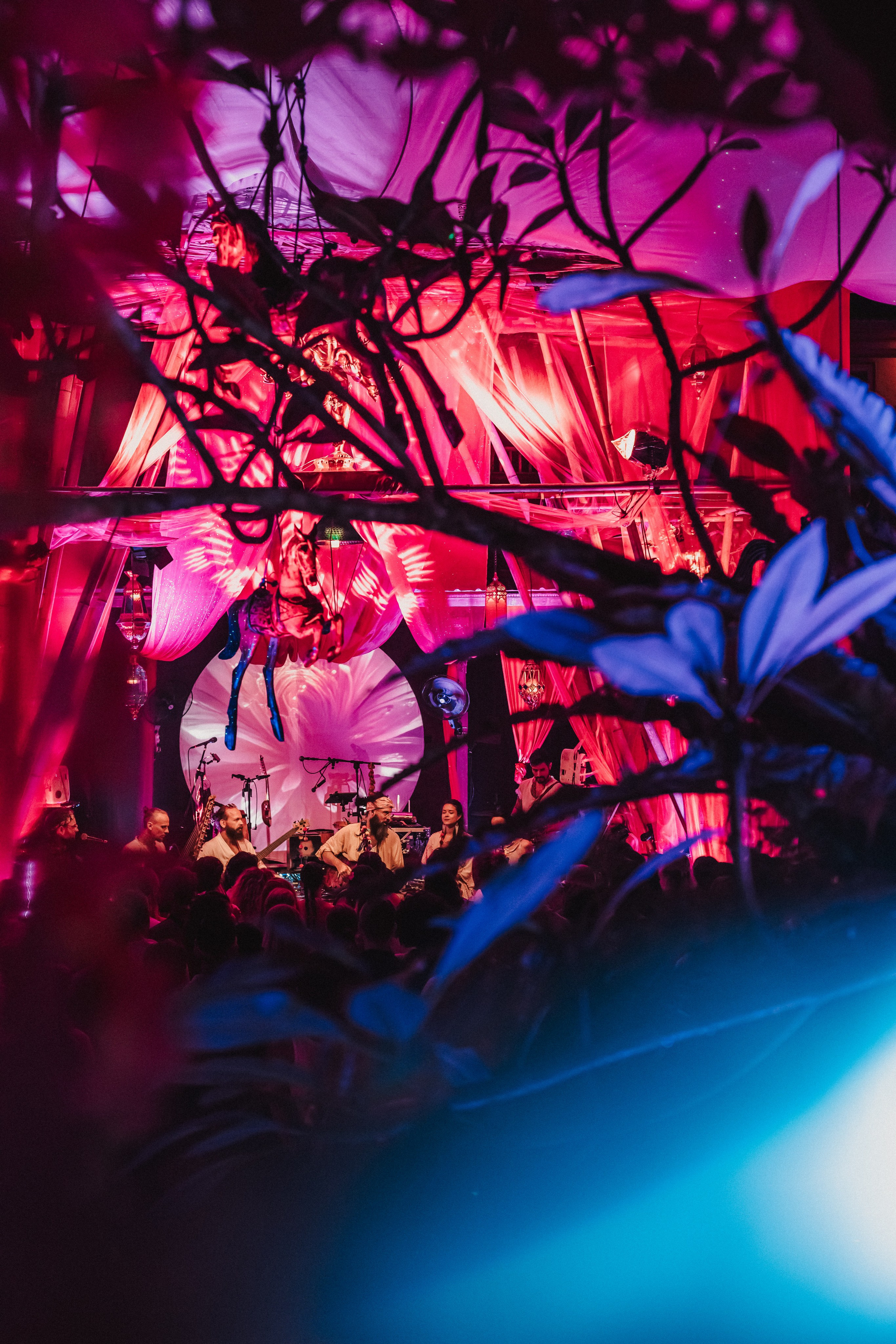 NY Alegria festival. Мариам Багдасарян