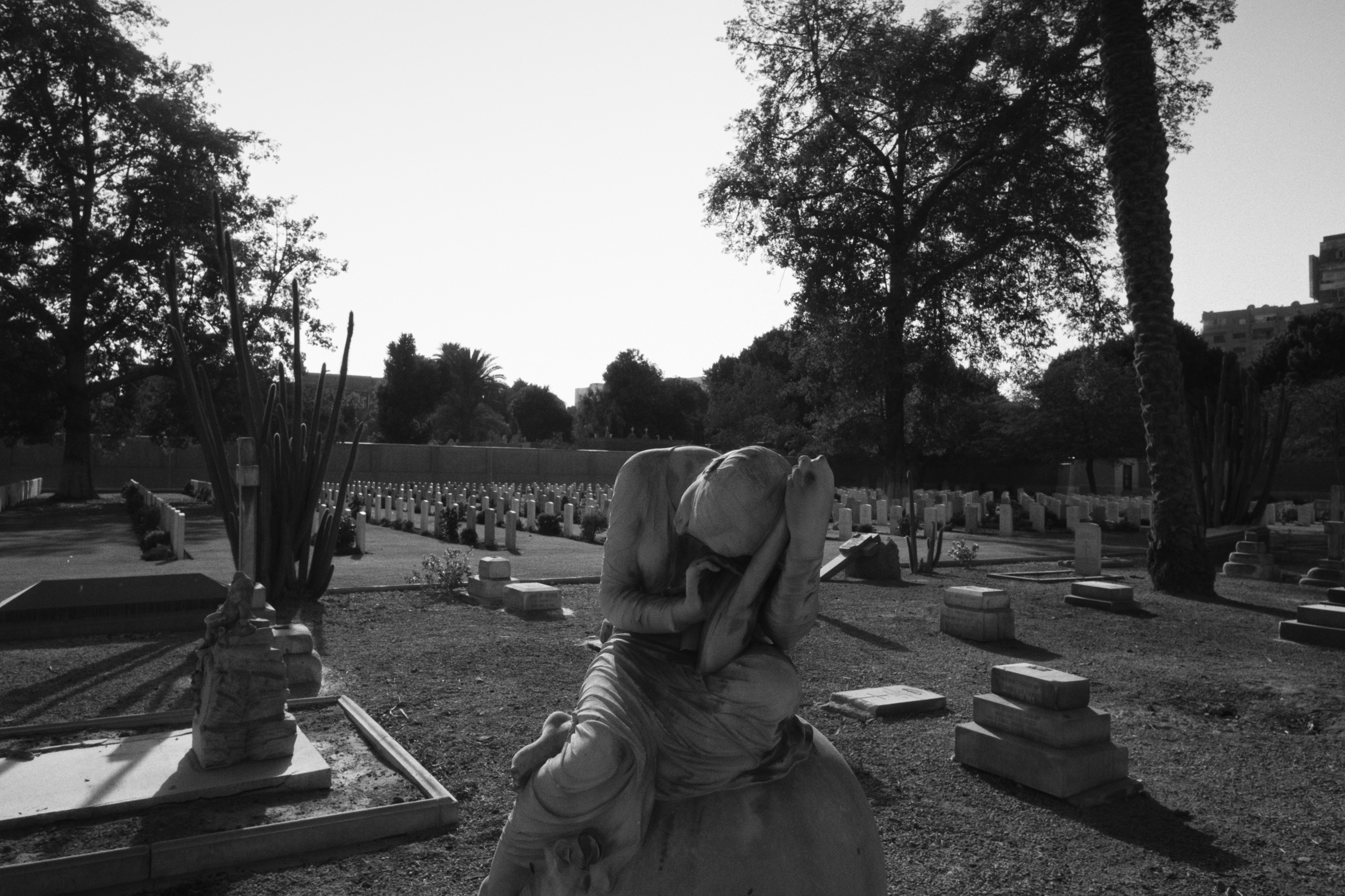 War Memorial Cemetery / Cairo, Egypt AW25. Фотограф Юрин Евгений