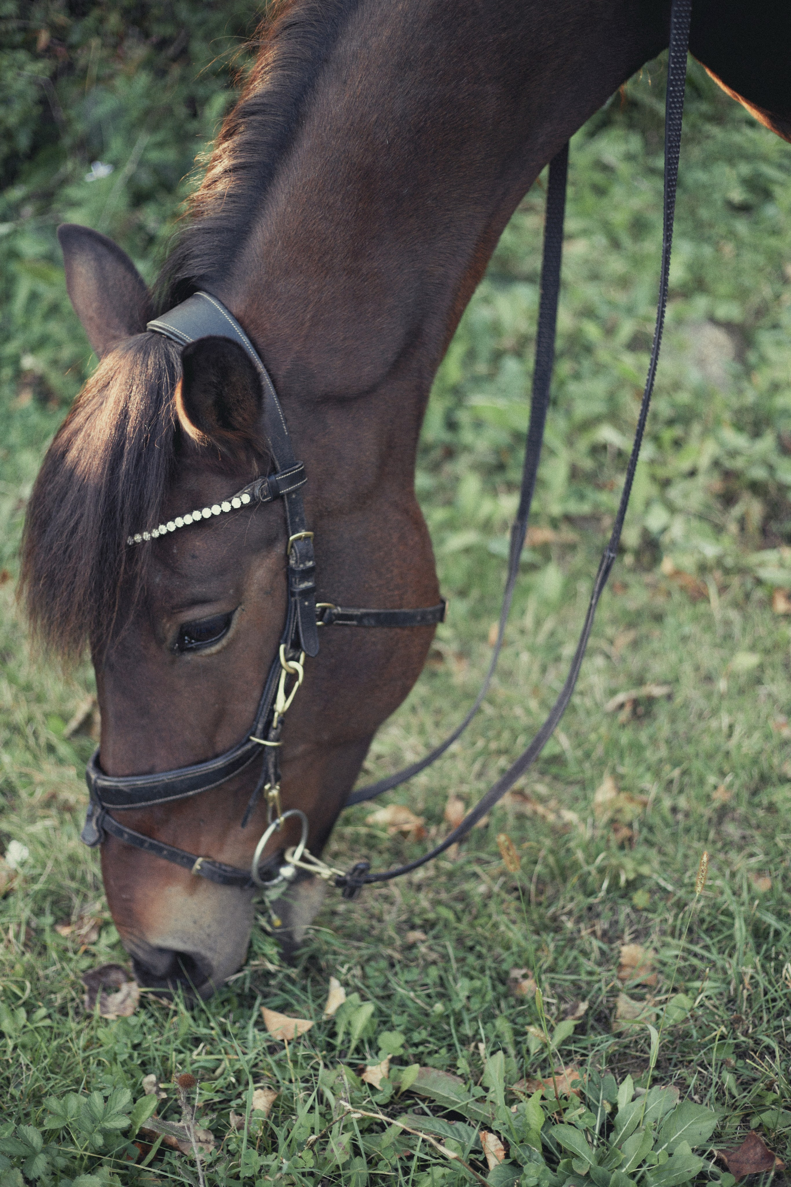 Лена. Фотограф Ионова Анастасия, г Владивосток