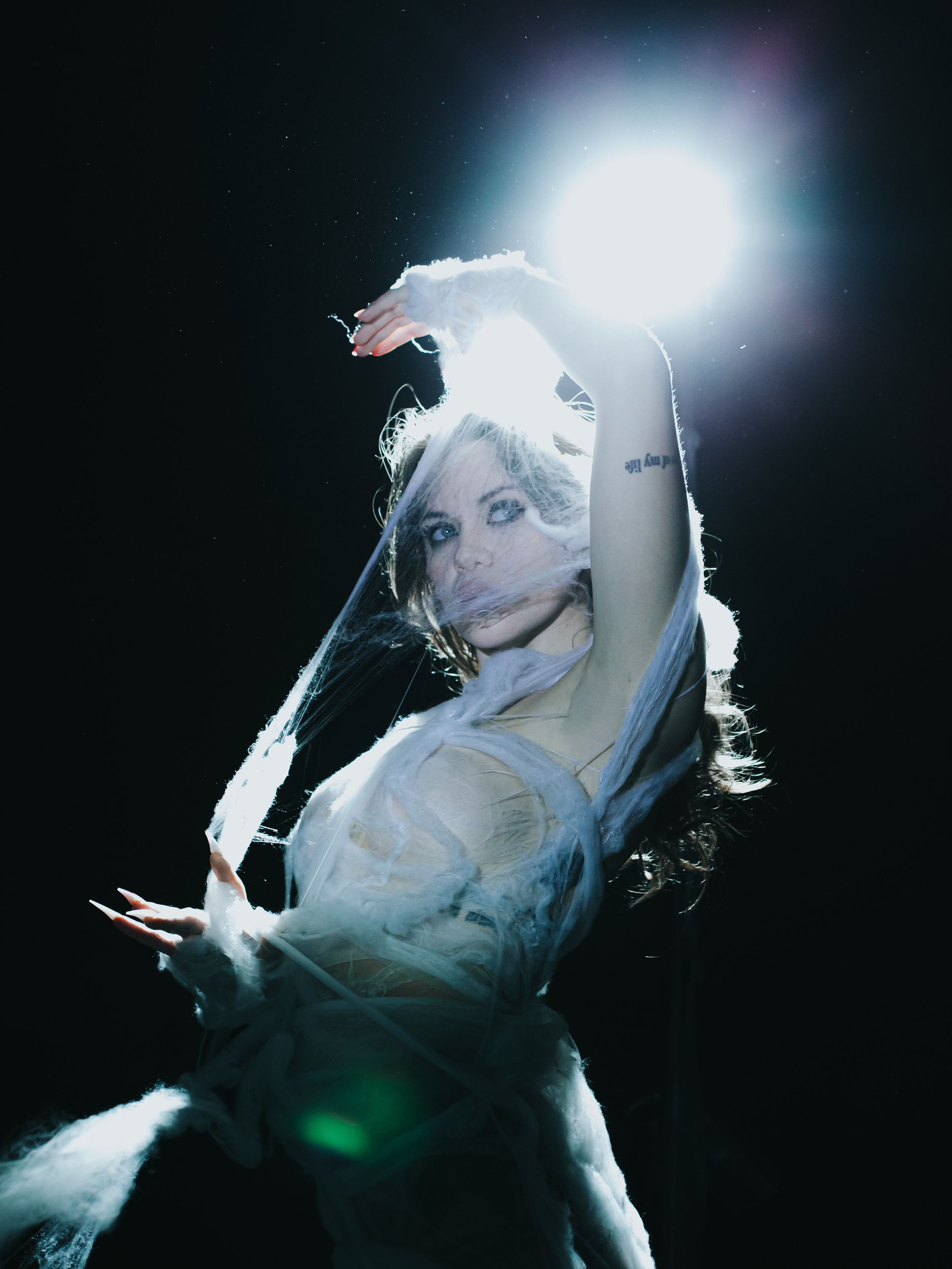 Diibae spider. Фотограф из Санкт-Петербурга Валерия Ленских