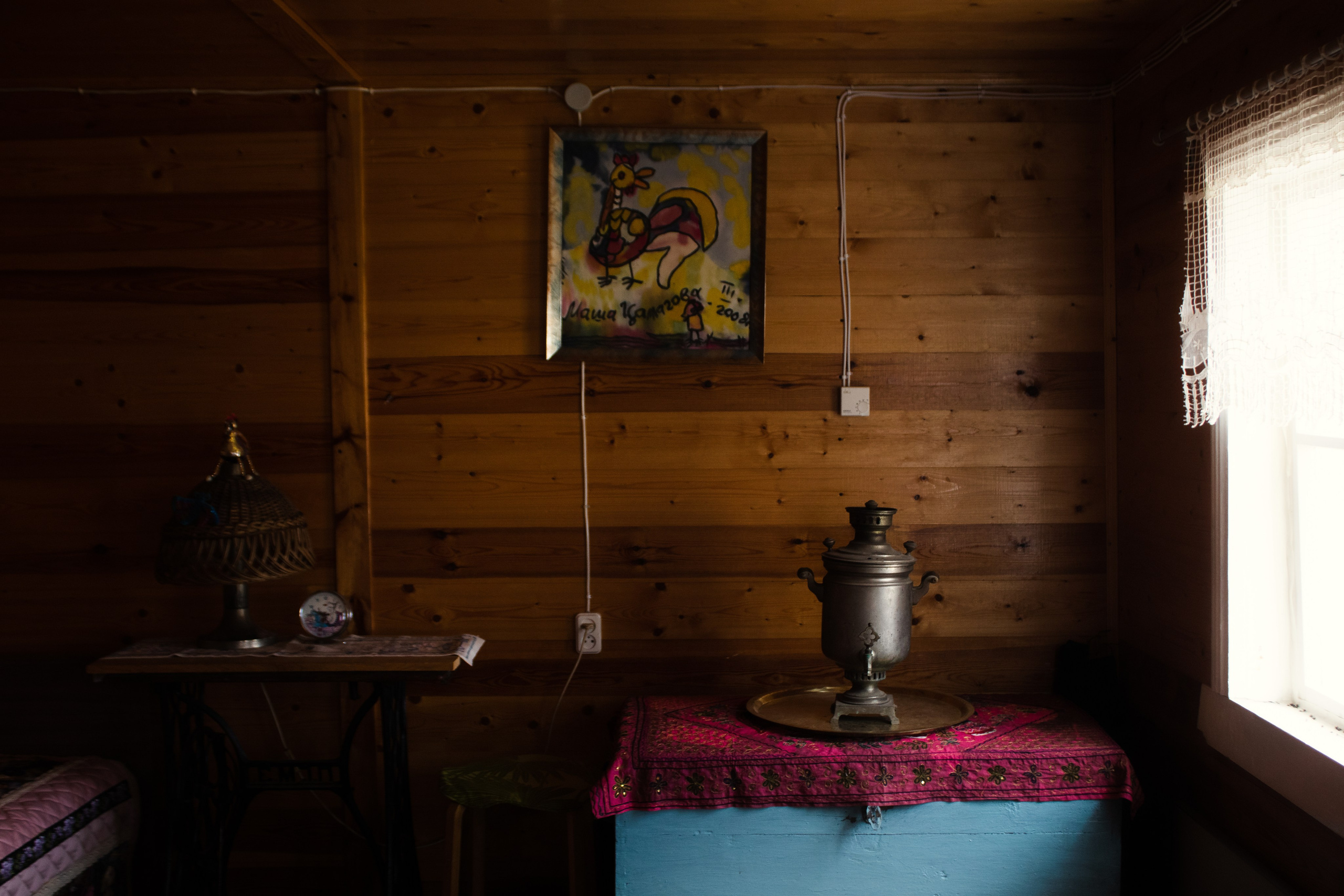 Вепсский ковчег. Полина Щапова БМК235 Медиаком — НИУ ВШЭ