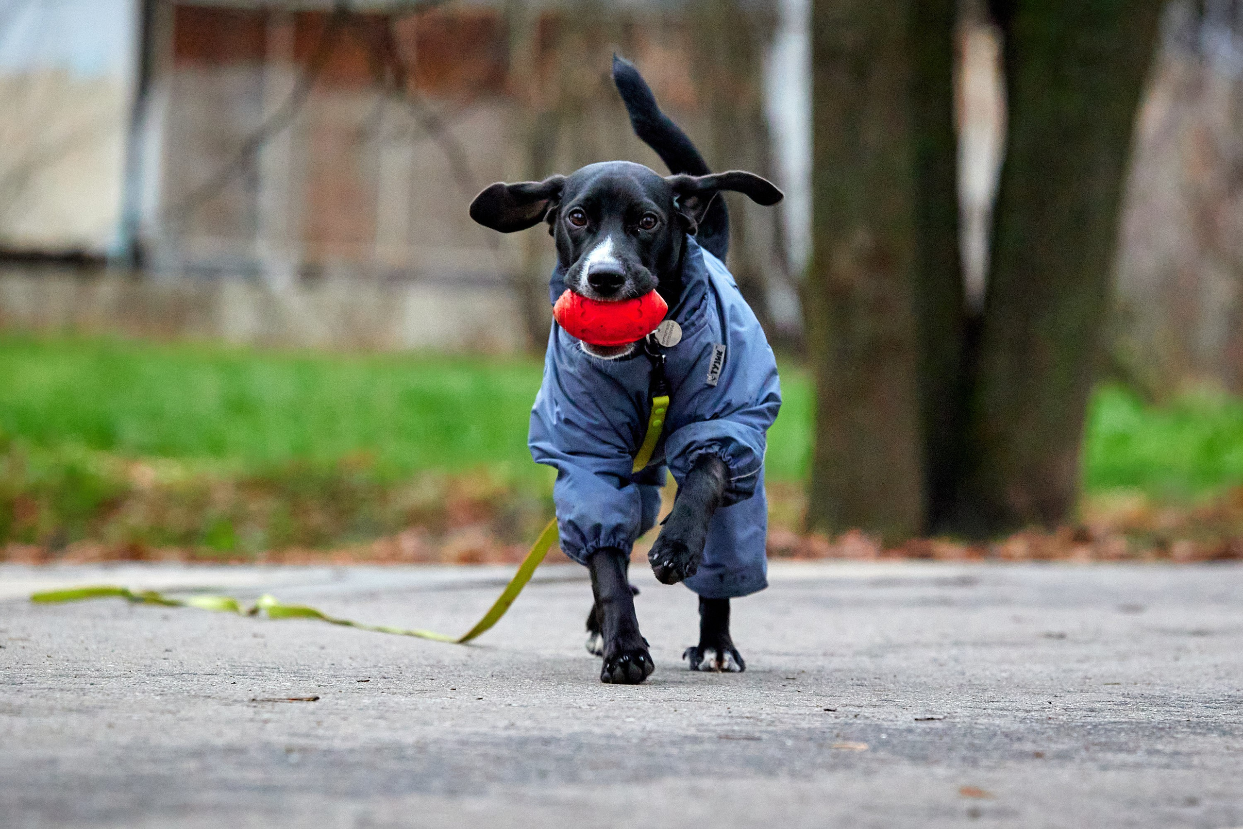 S95 Кусково. Спортивный и репортажный фотограф Андрей Баскаков
