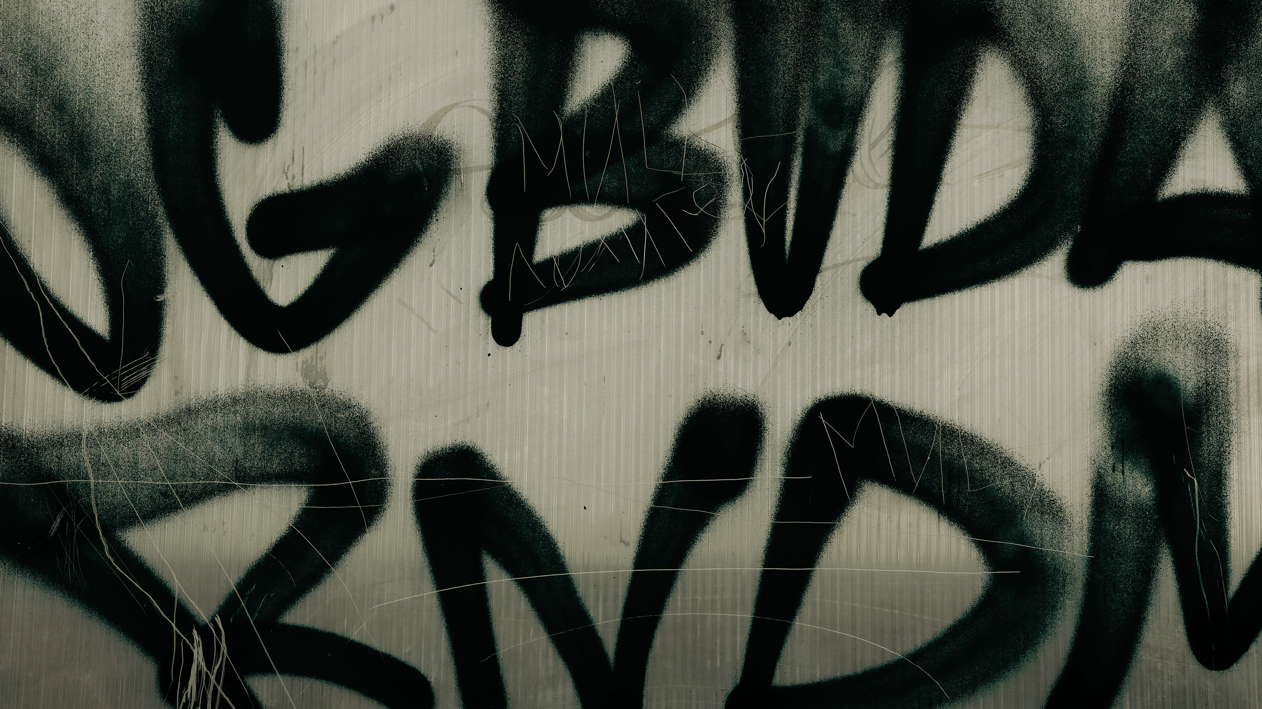 TMN autumn '24. Фотограф/дизайнер в Екатеринбурге Хитрый Дмитрий