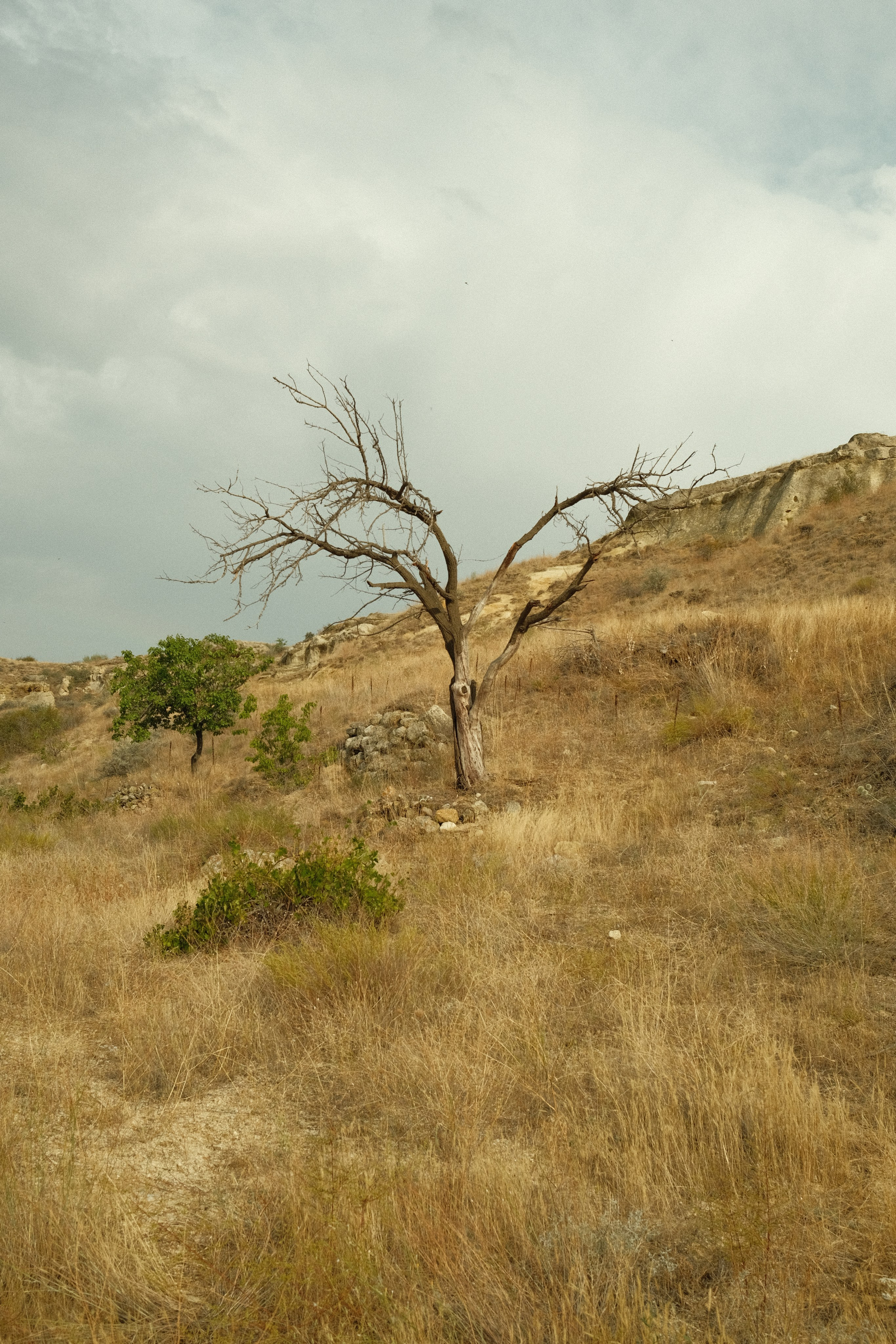 Молчание. Портретный фотограф