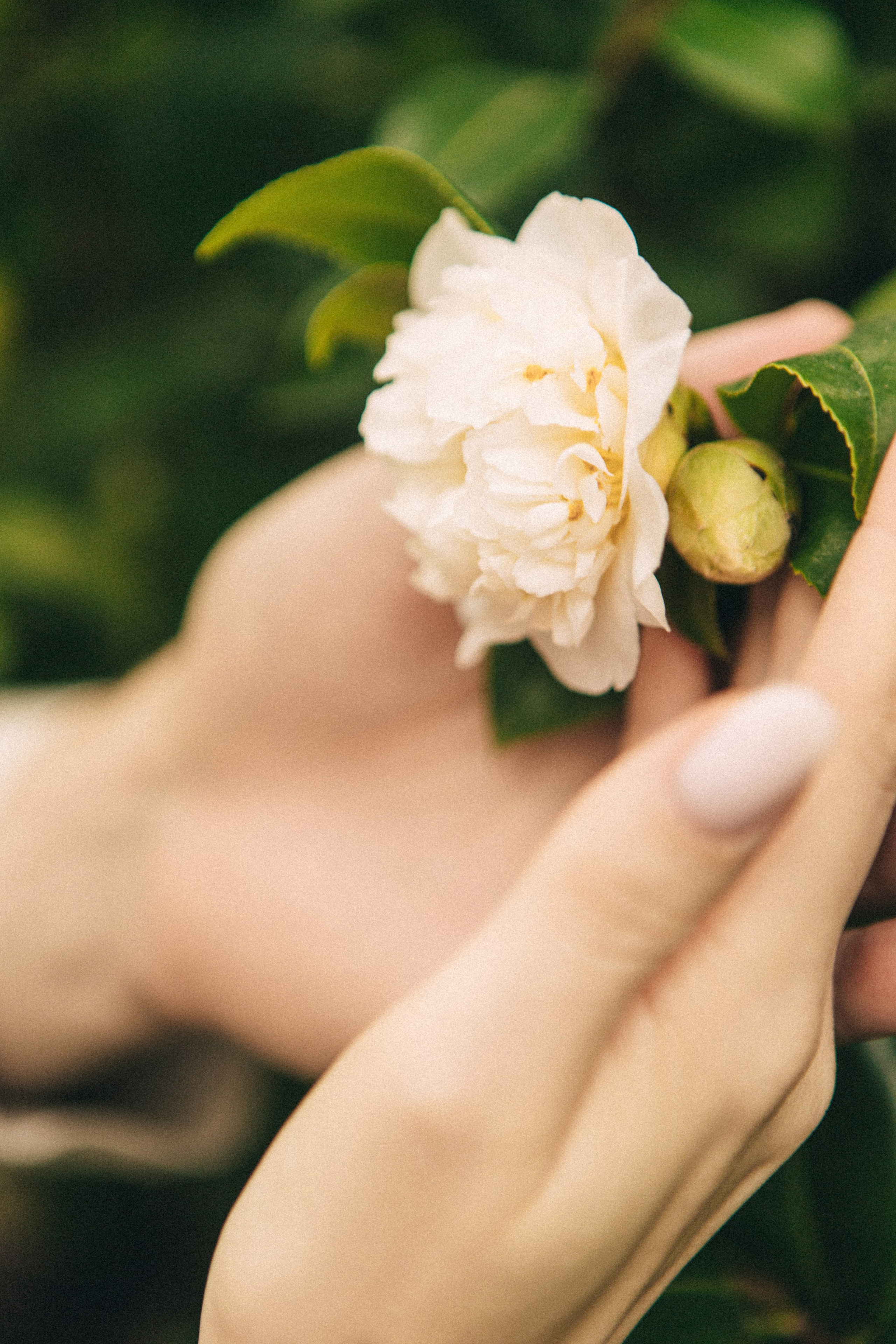 Марина и Никита. Главная