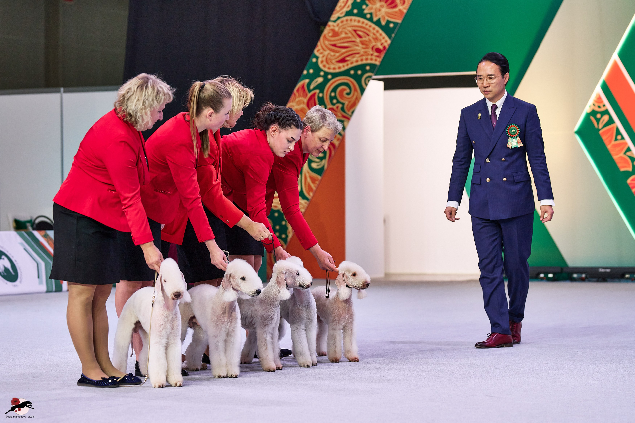 17.11.2024 «ЕВРАЗИЯ. КУБОК СНГ 2024»
