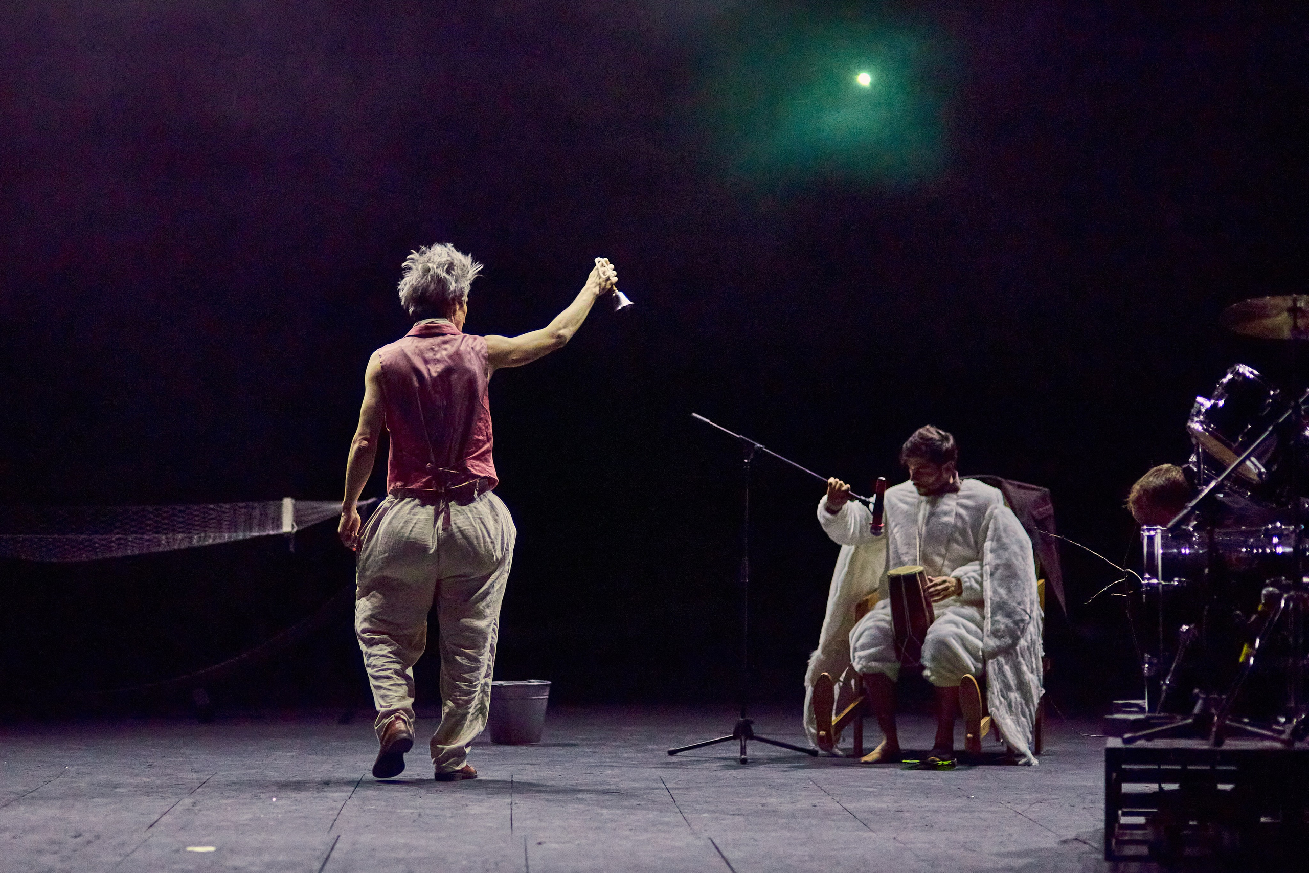 Чайка. Фотограф Юлия Маринина