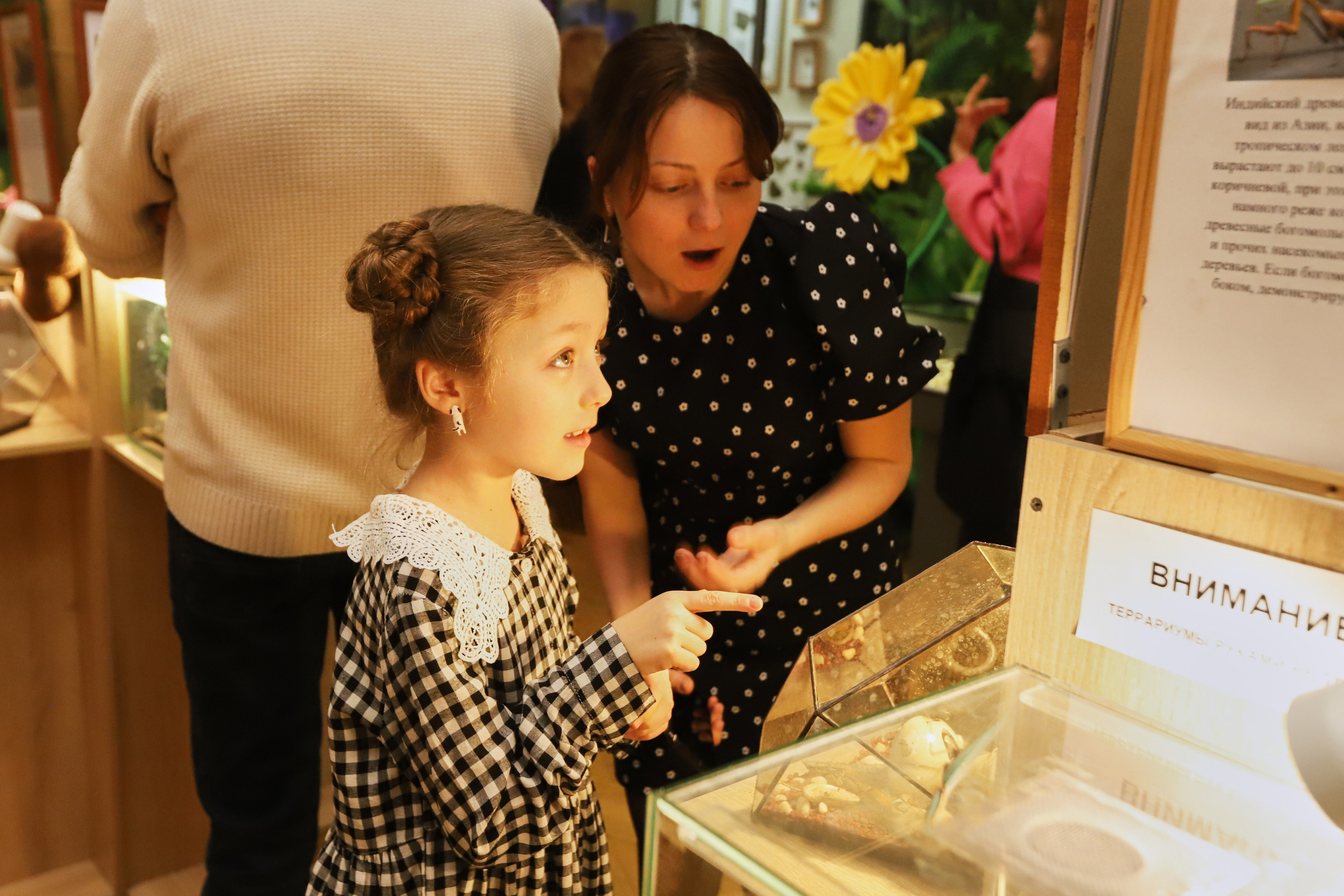 Музей им. Е. Д. Фелицына. Фотограф Юлия Маринина