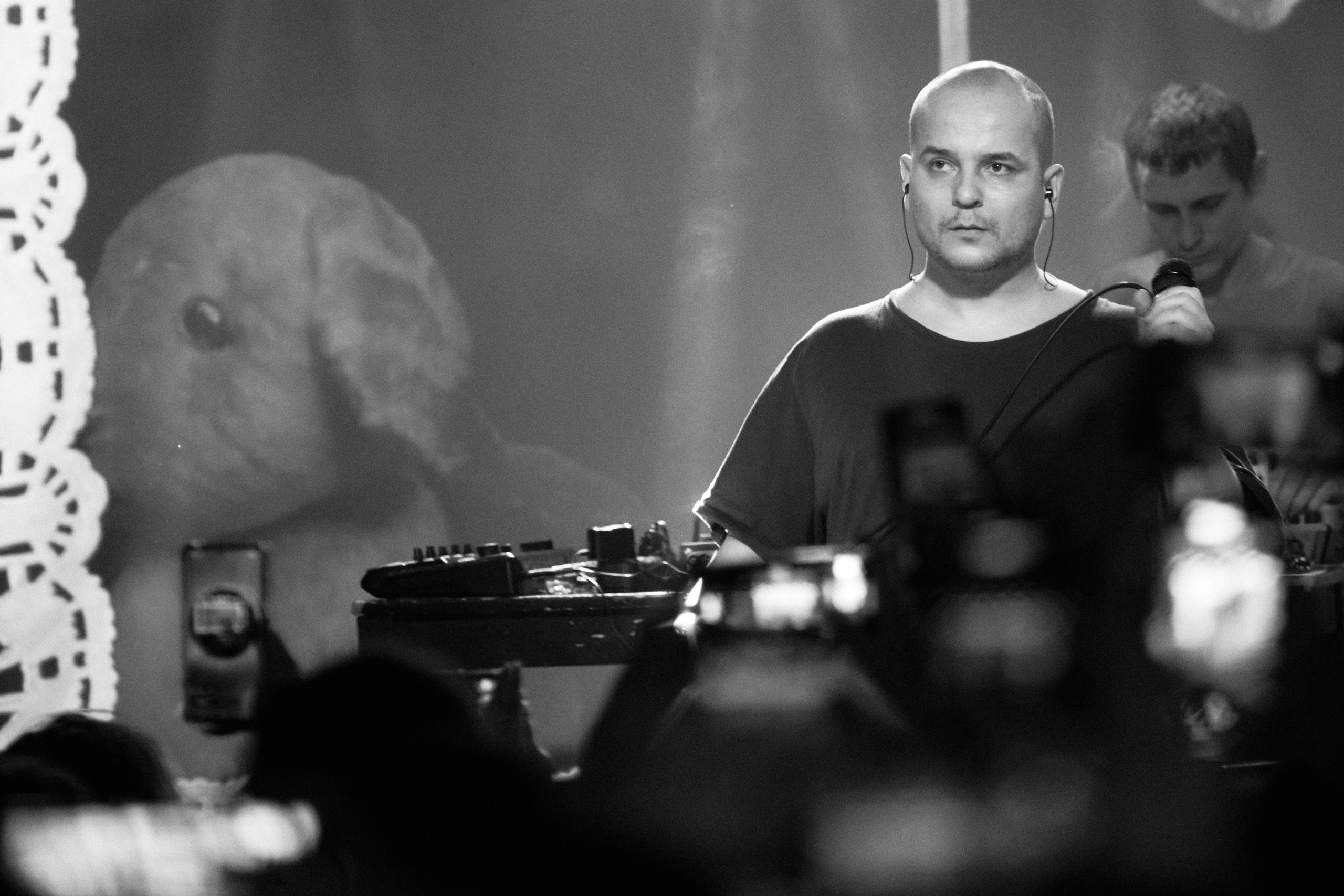 Порез на собаке. Фотограф Юлия Маринина