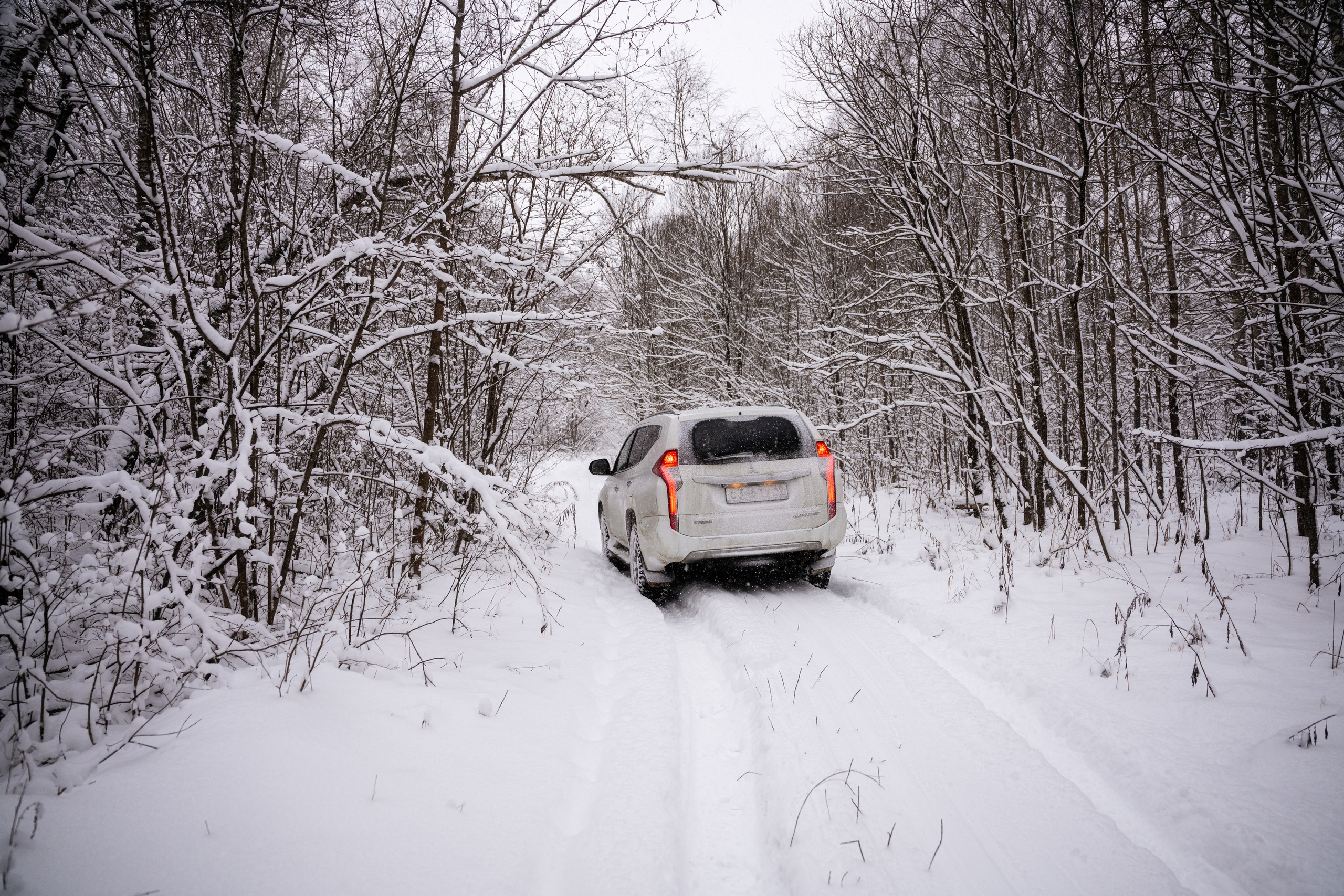 Поездка к р. Песочня и деревне Раевское. Vlad Trykov