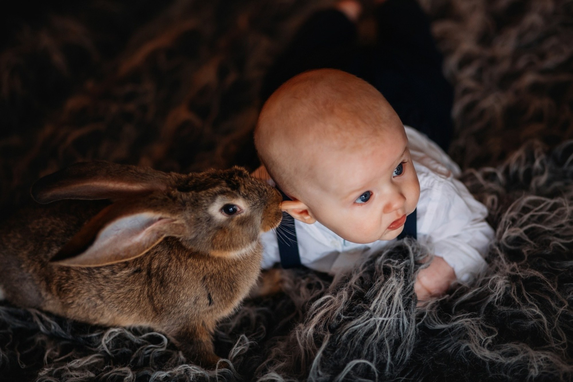 Екатерина Соловьева — Семейный фотограф