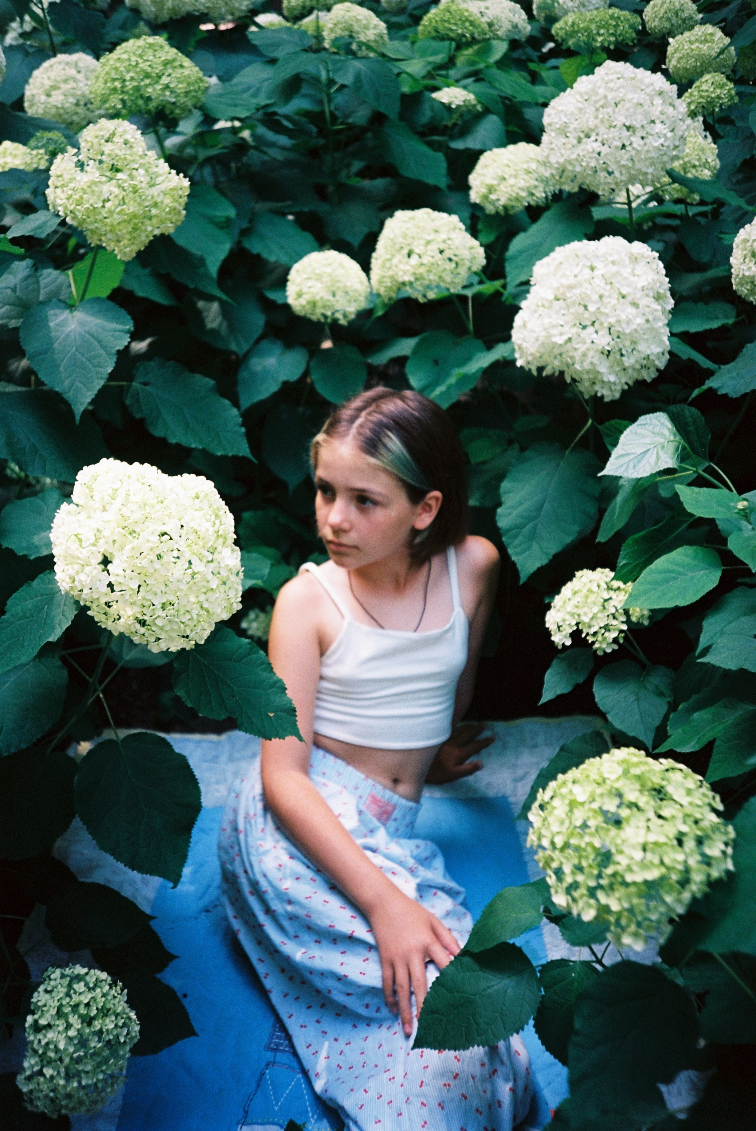 Поля. Trunchenkova