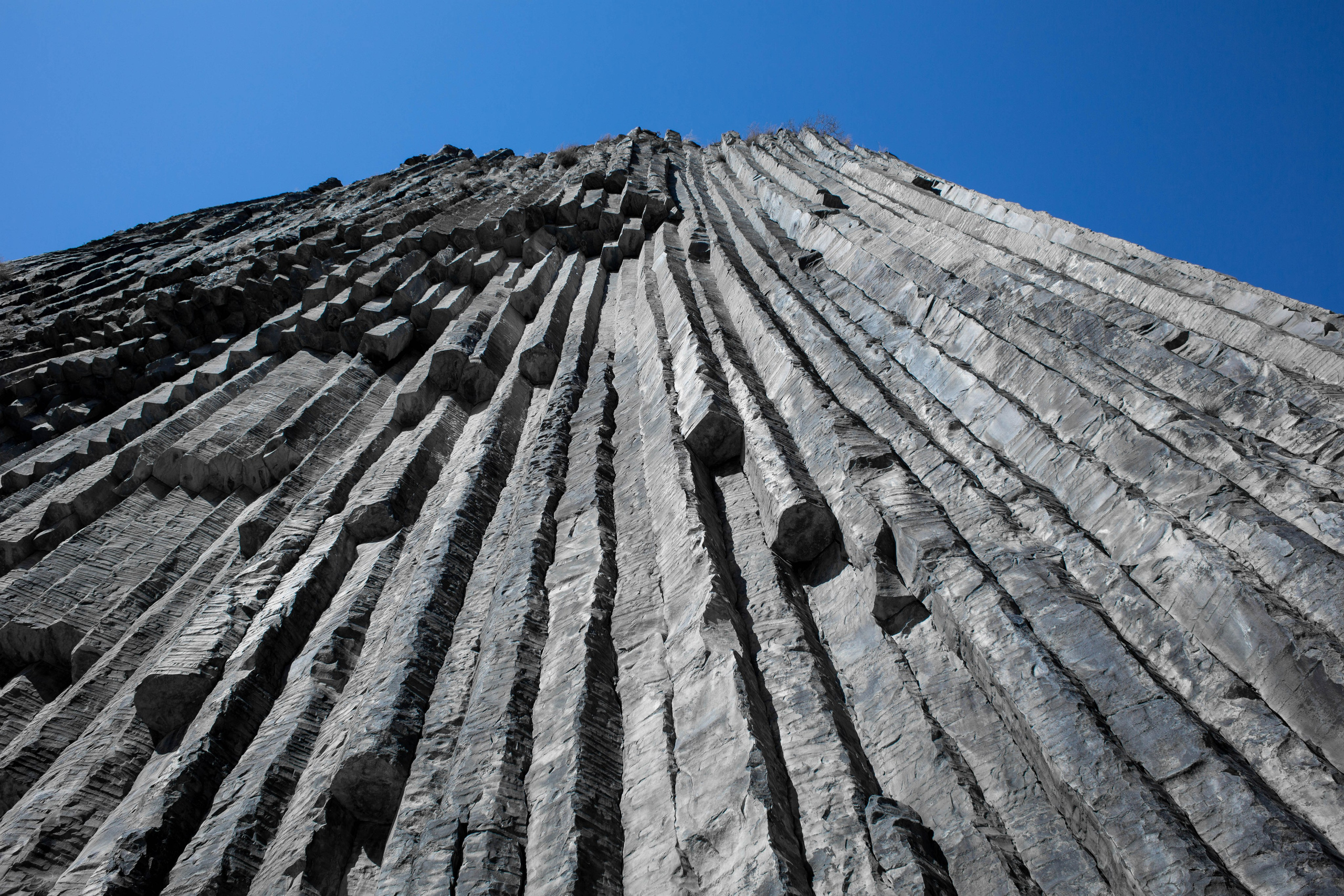 Армения. Zenizza