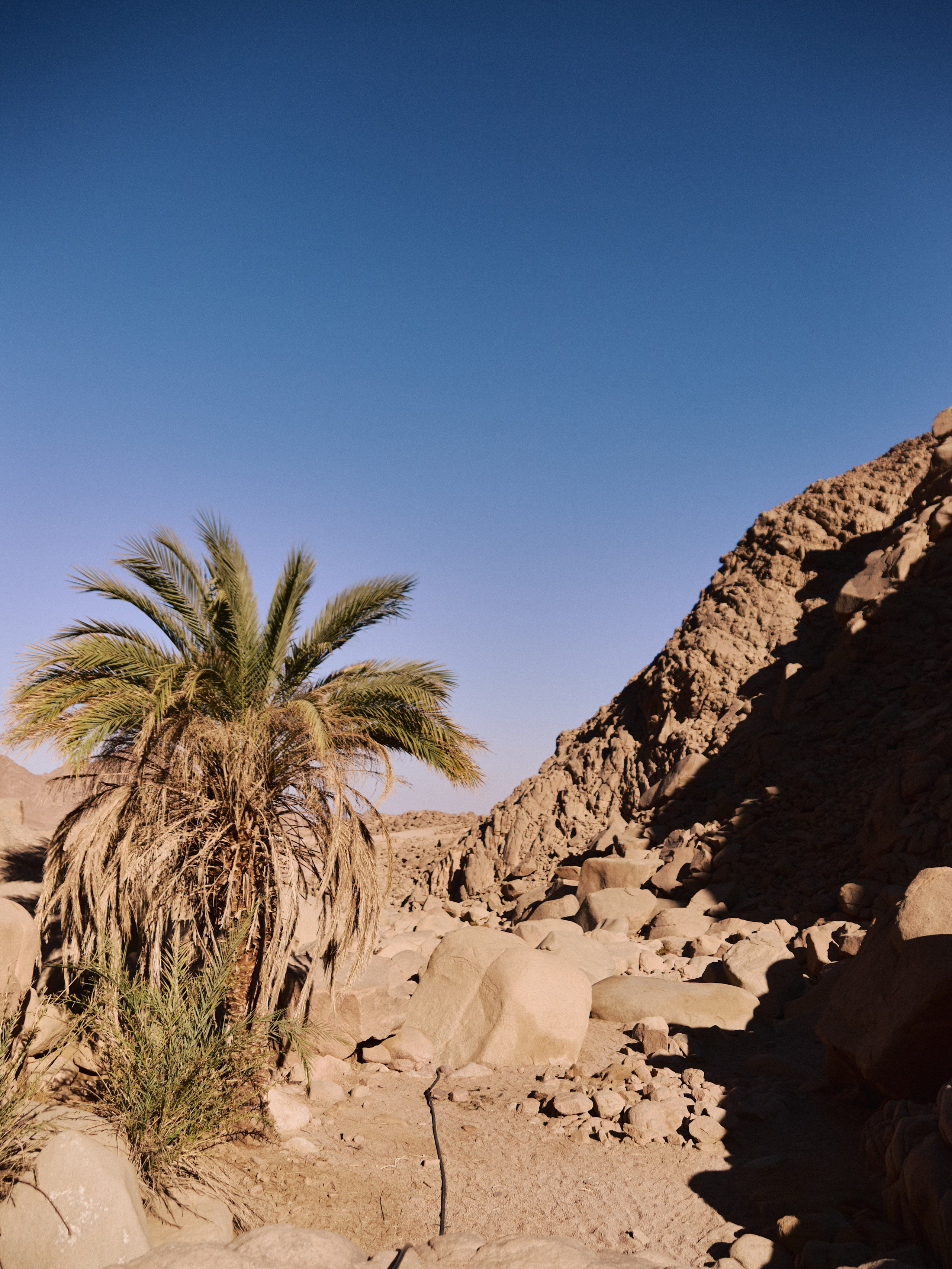 Природа. Jorgis Talè — photographer, kind person, teacher of arts and other mag