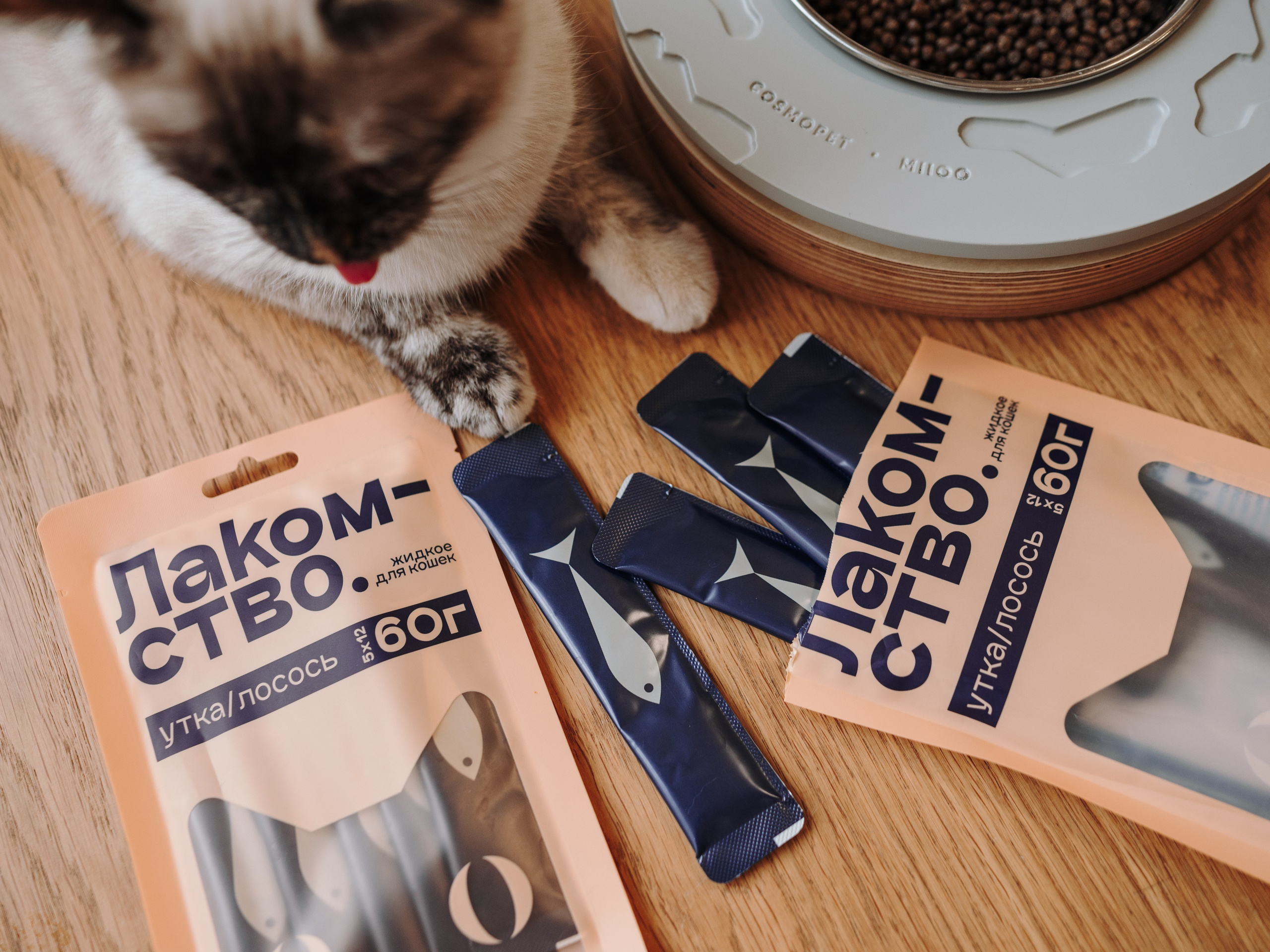 Cosmodog. Миски и лакомства. Семейный фотограф анималист Ананьева Мария — Москва