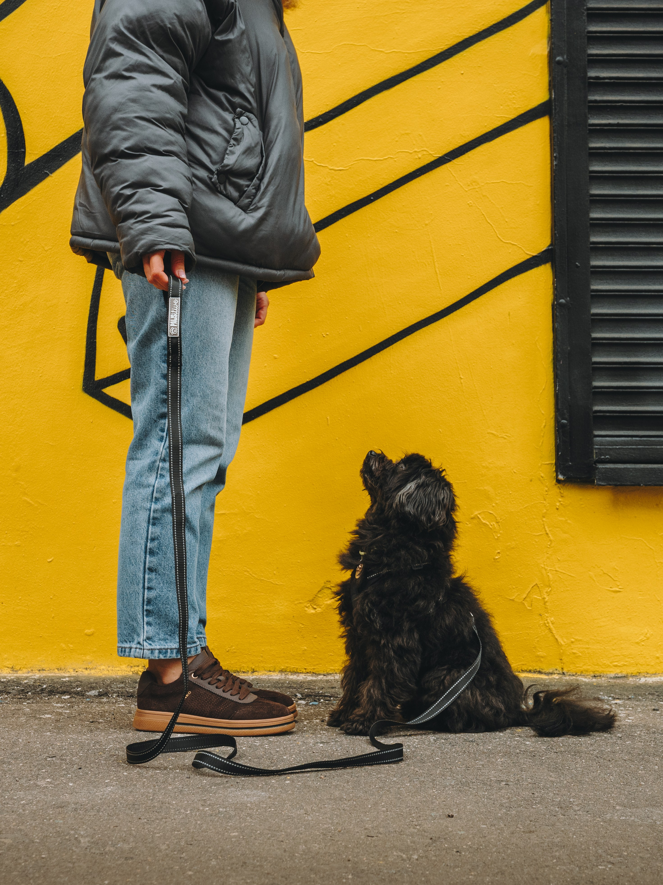 Pawsitive. Семейный фотограф анималист Ананьева Мария — Москва