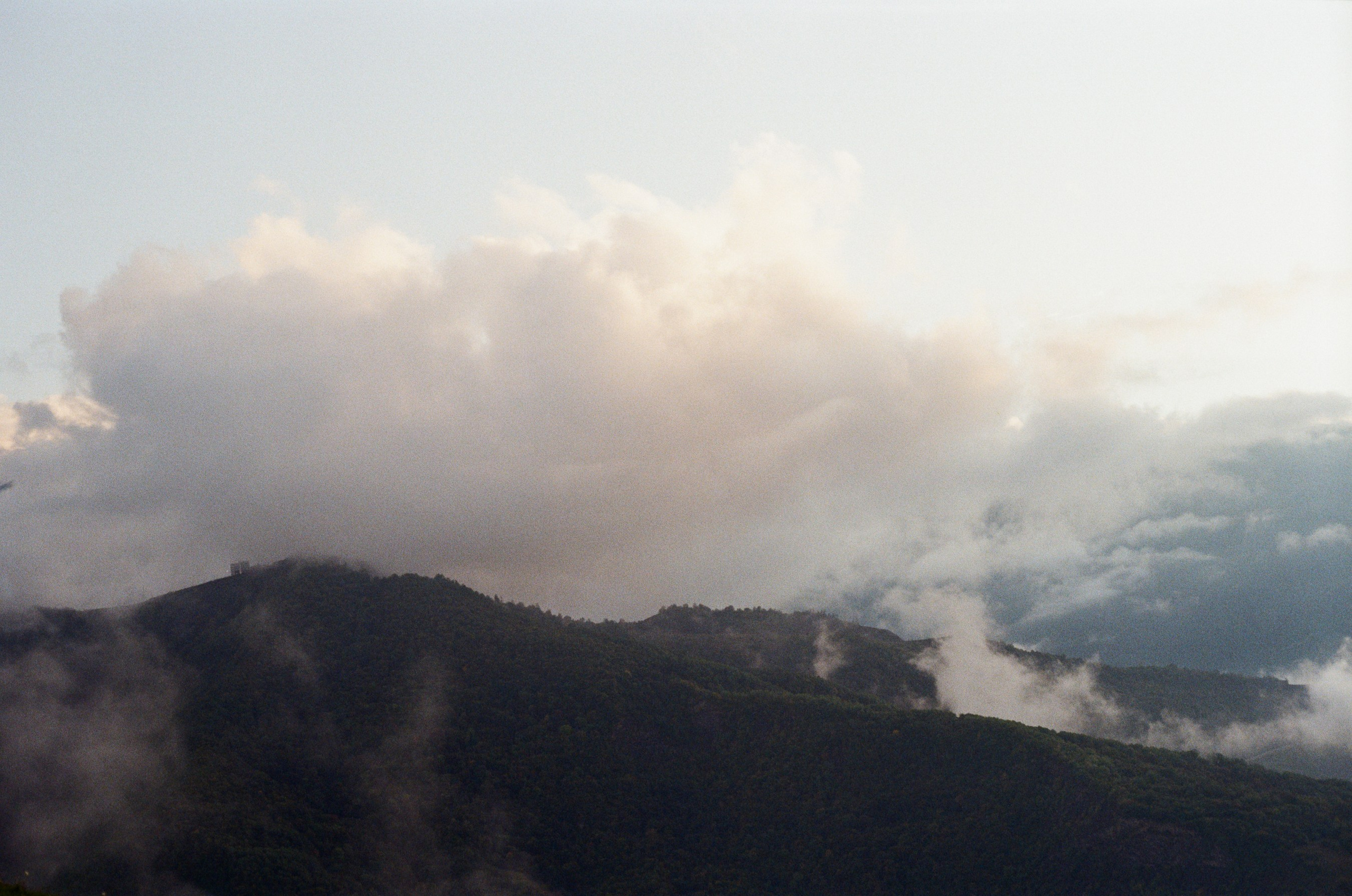 Пленочная фотография. Фотограф в Ростове-на-Дону