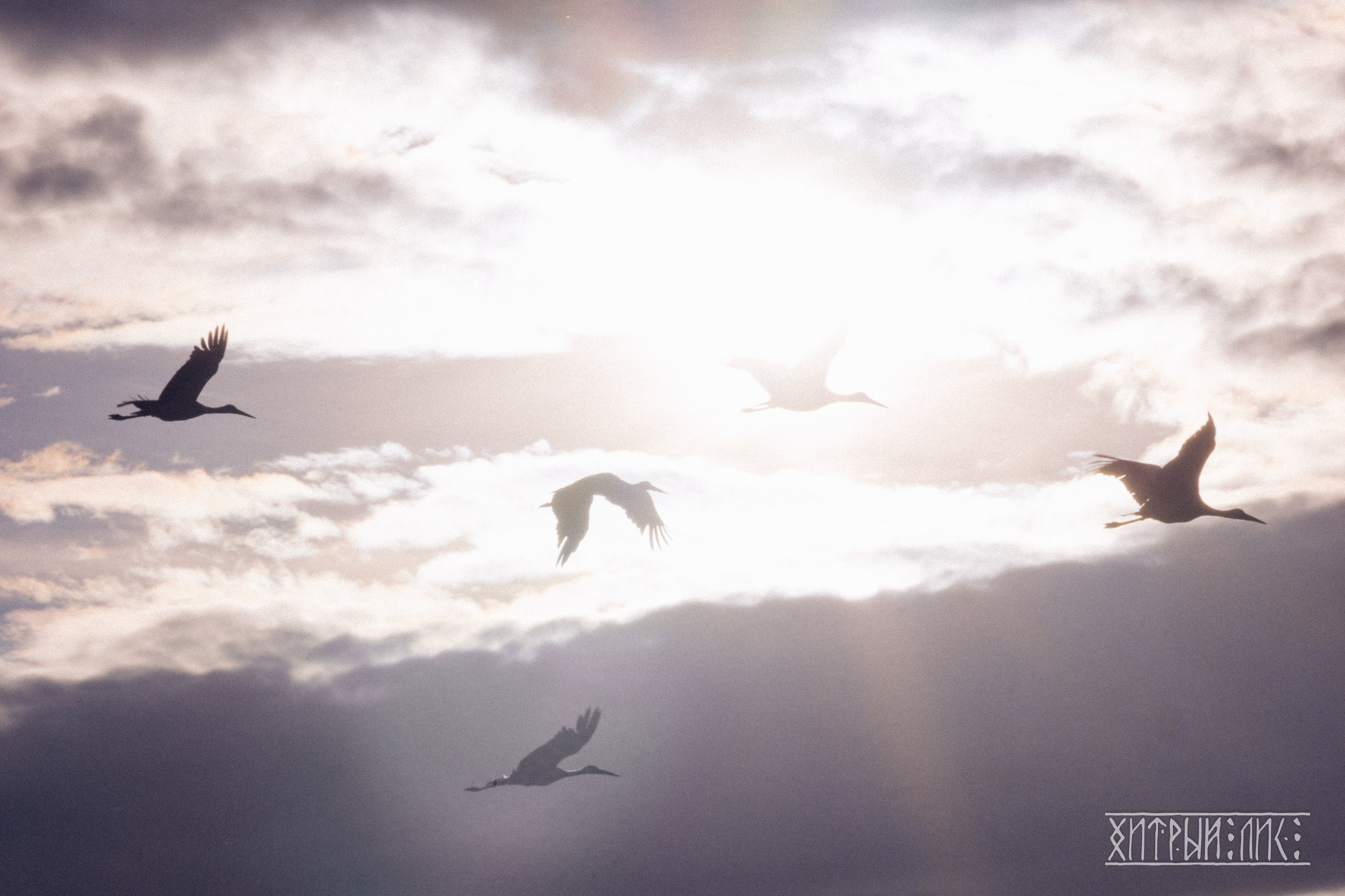 Беларусь. Фотограф-путешественник Самойлов Максим «Sly Fox»