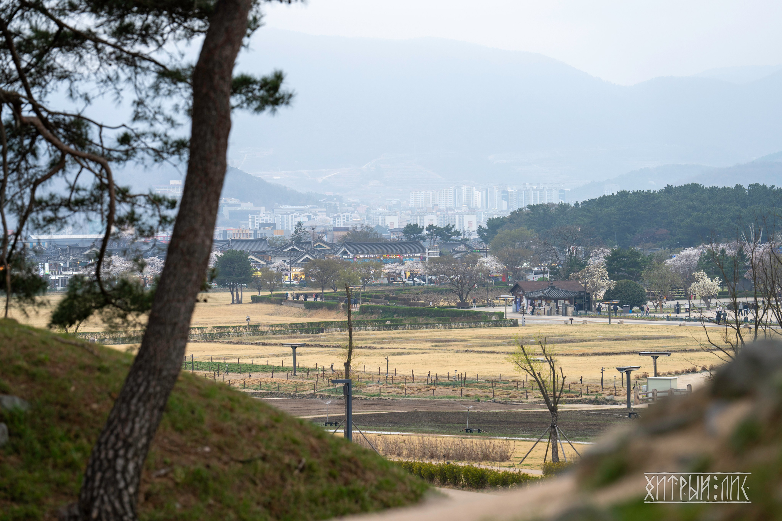 Южная Корея. Фотограф-путешественник Самойлов Максим «Sly Fox»