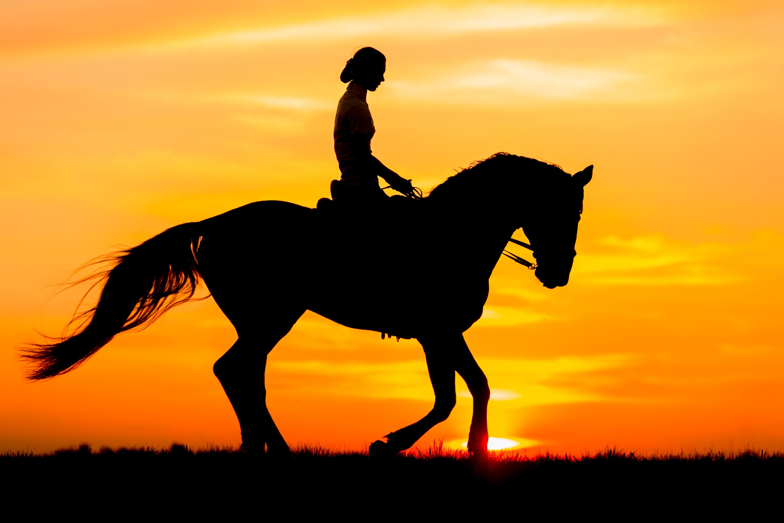 Фотосессии с лошадьми. Конный фотограф Валынкина Лера