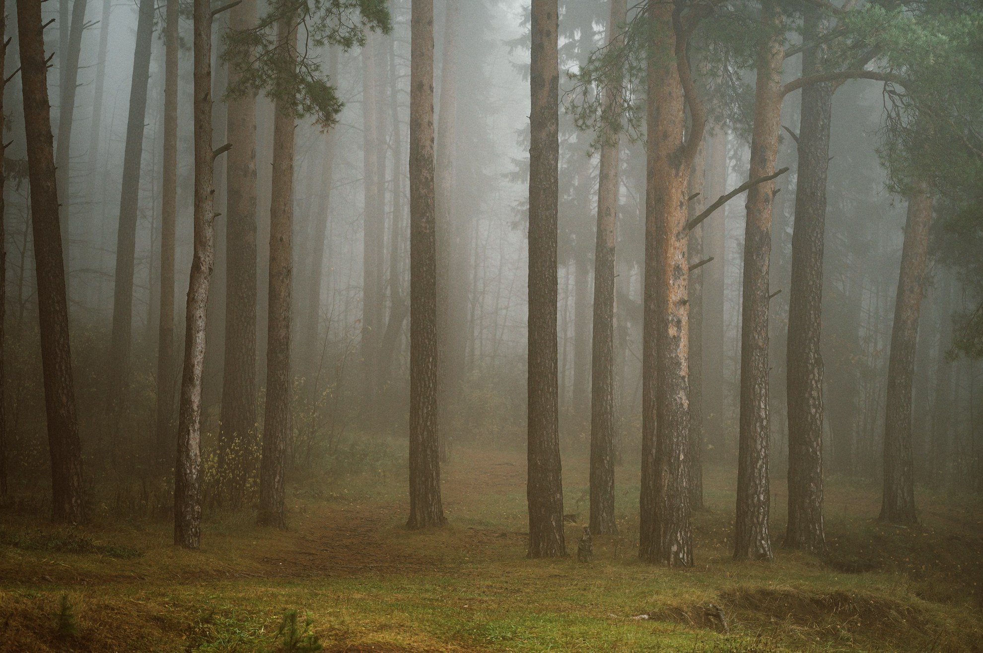 Природа. Максим Егоров, г. Ижевск. Репортажная, предметная съёмка и фуд-фотография