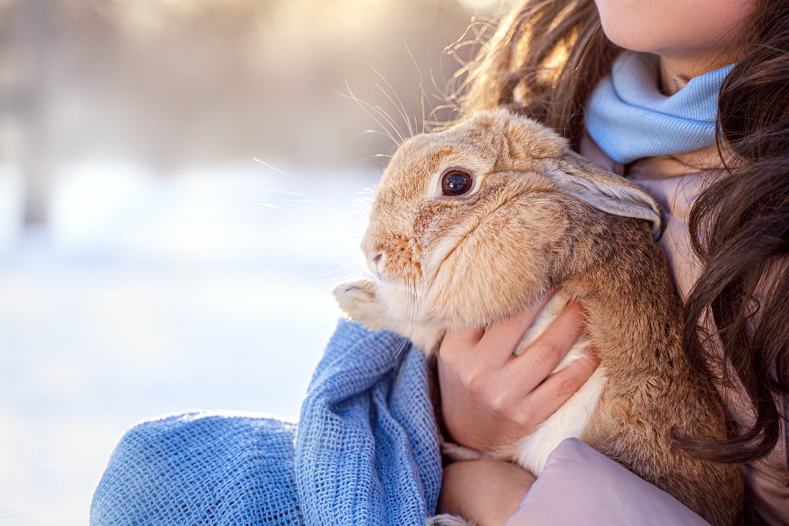 Дело было в мартобре. Школьный фотограф в Кемерово Мелещенко Анна
