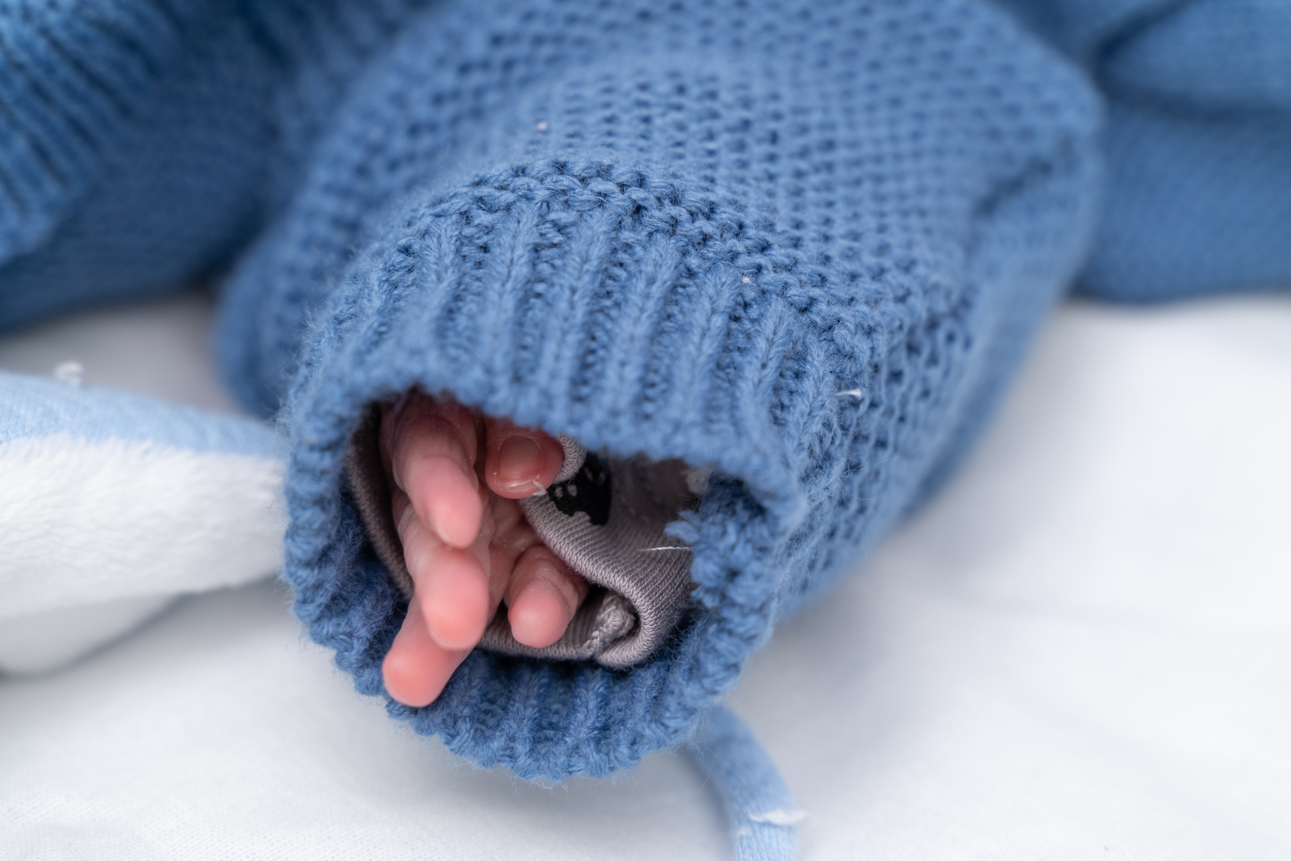 Выписки из роддома. Школьный фотограф в Кемерово Мелещенко Анна