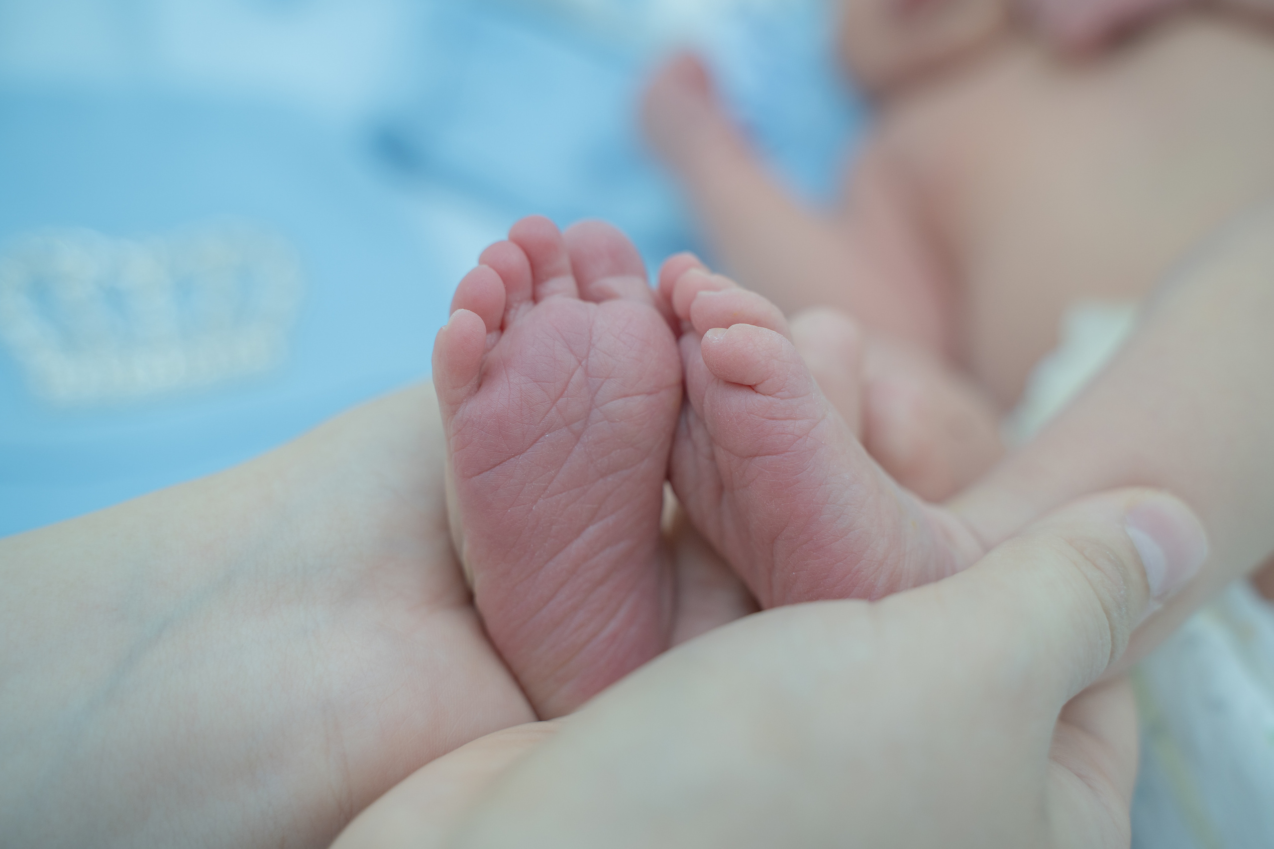 Выписки из роддома. Школьный фотограф в Кемерово Мелещенко Анна