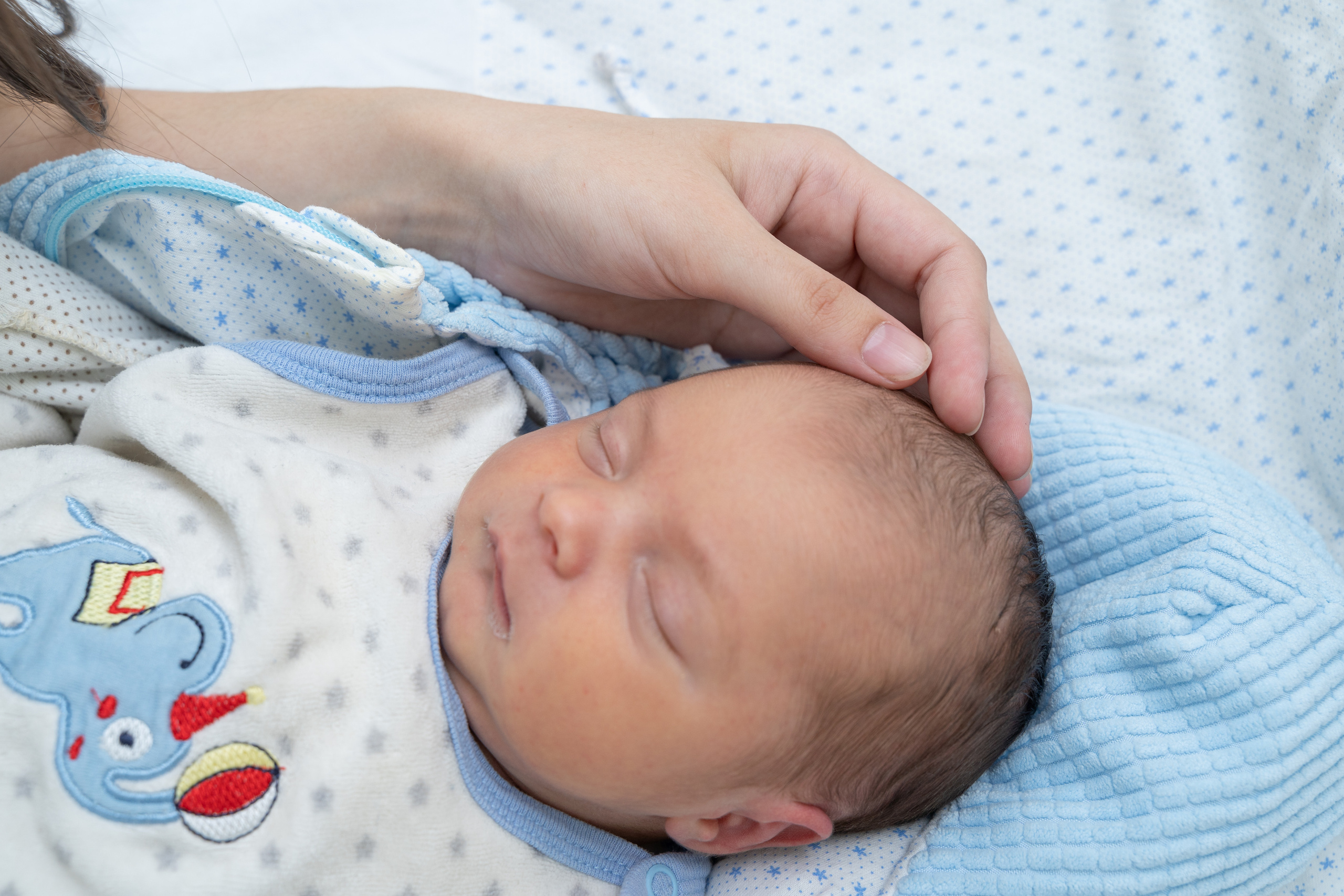 Выписки из роддома. Школьный фотограф в Кемерово Мелещенко Анна