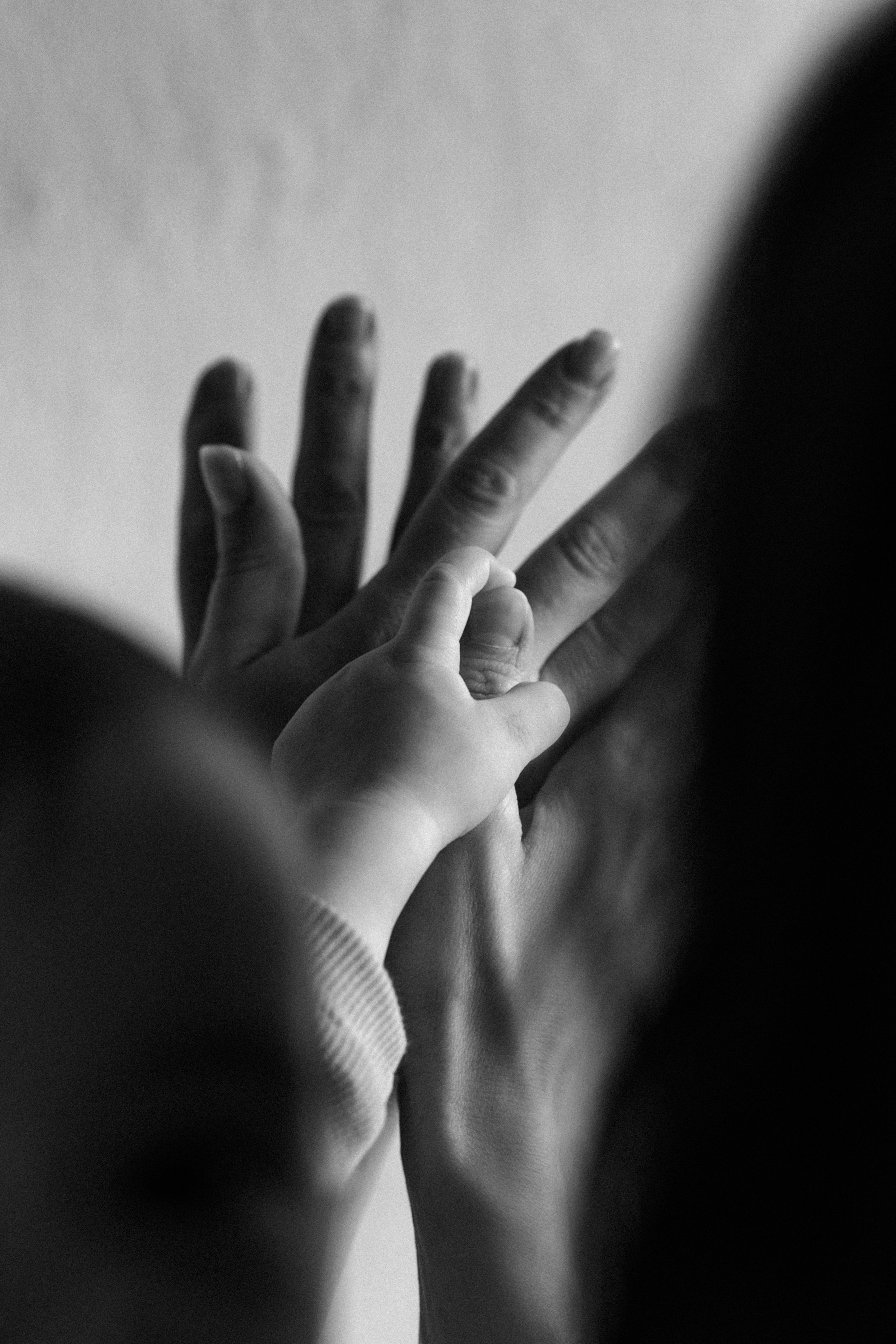 4 поколения. Фотограф Шевчик Виктория