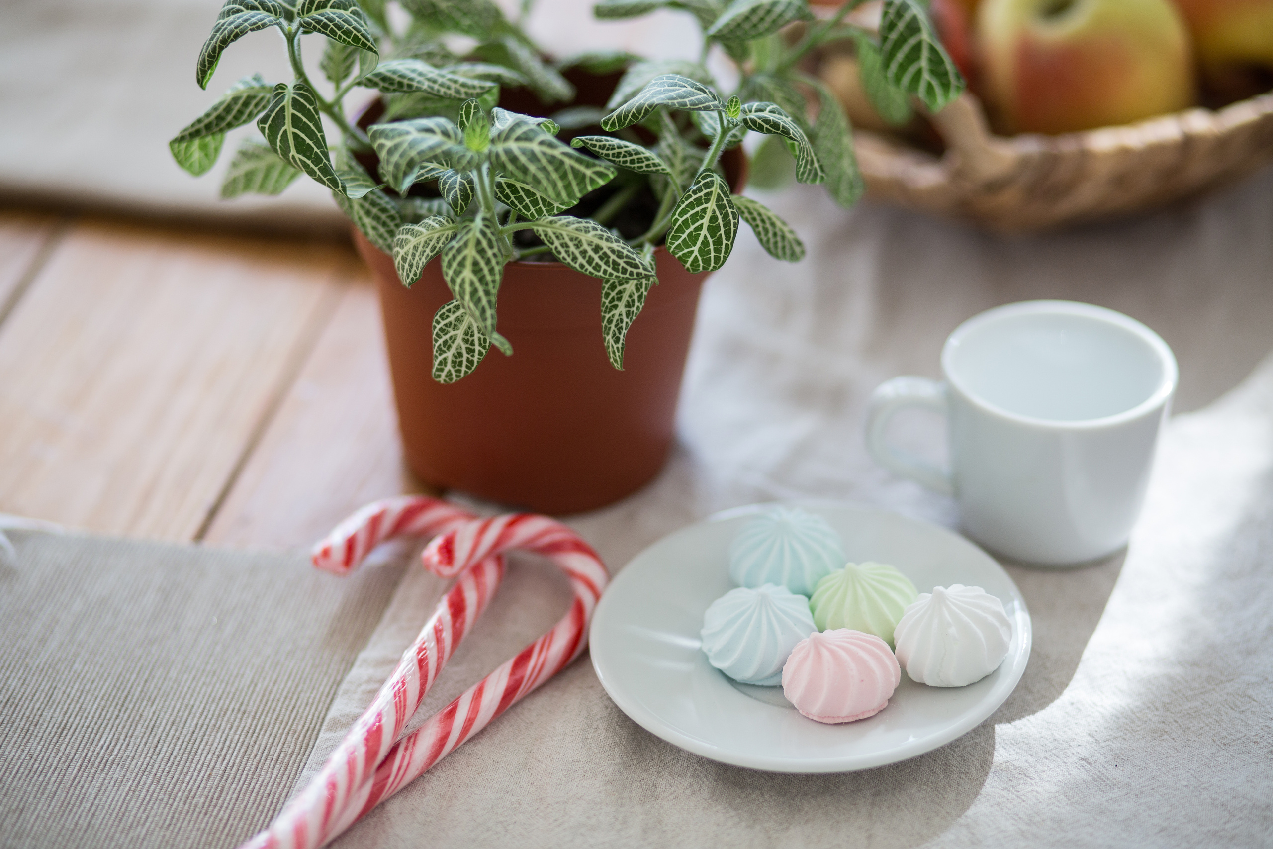 Девичник. Свадебный и семейный фотограф Марина Душаткина