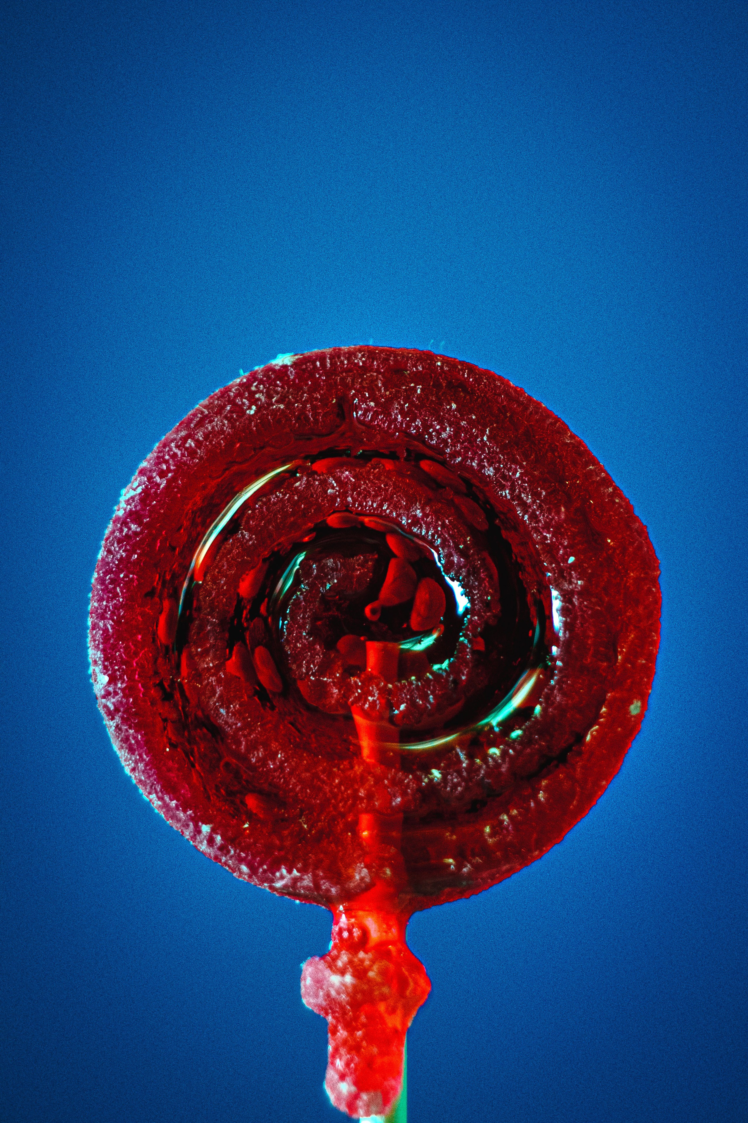 STILL LIFE. Photographer Zoya Smirnova