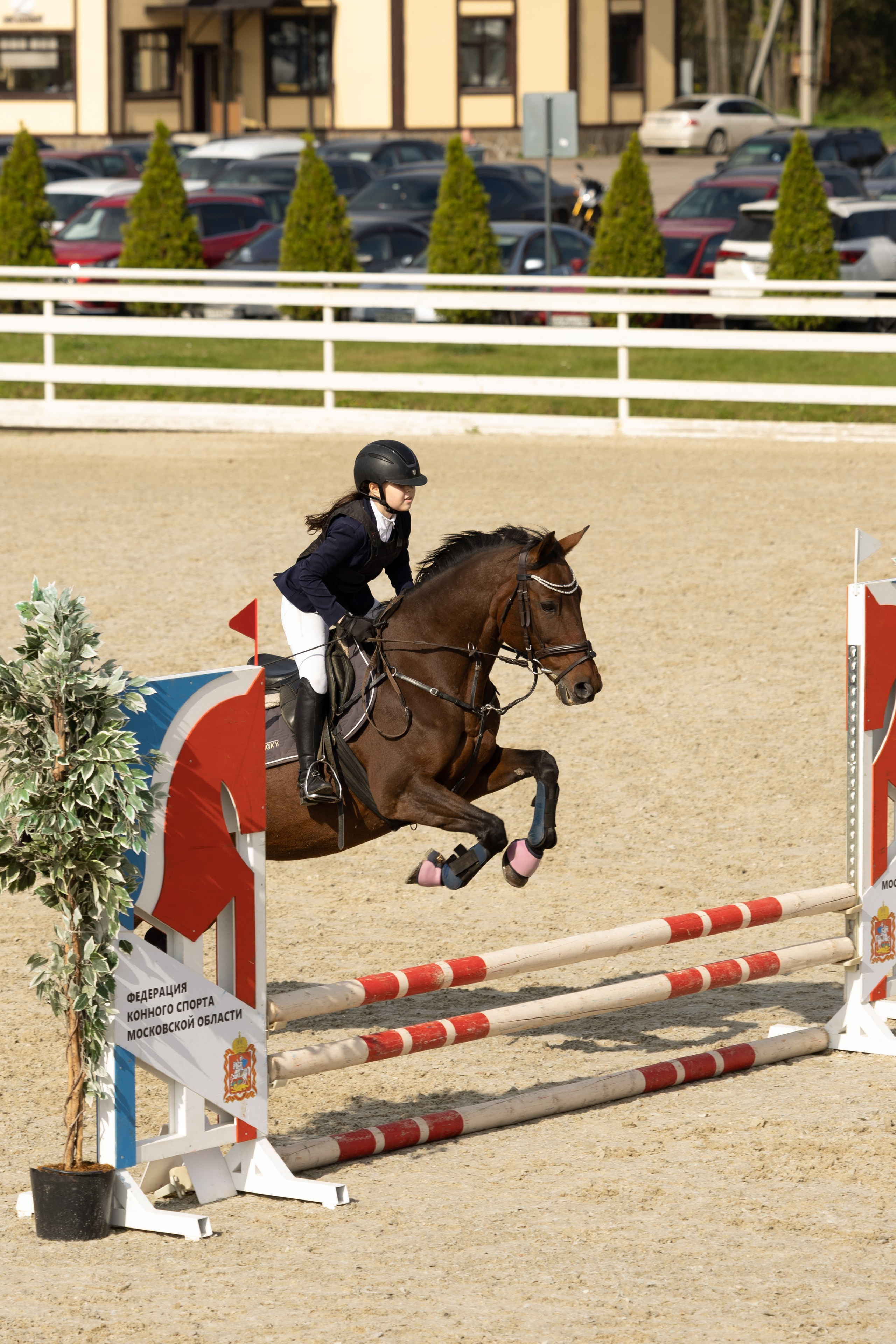Соревнования по конкуру. Фотограф в Москве Светлана Богначева